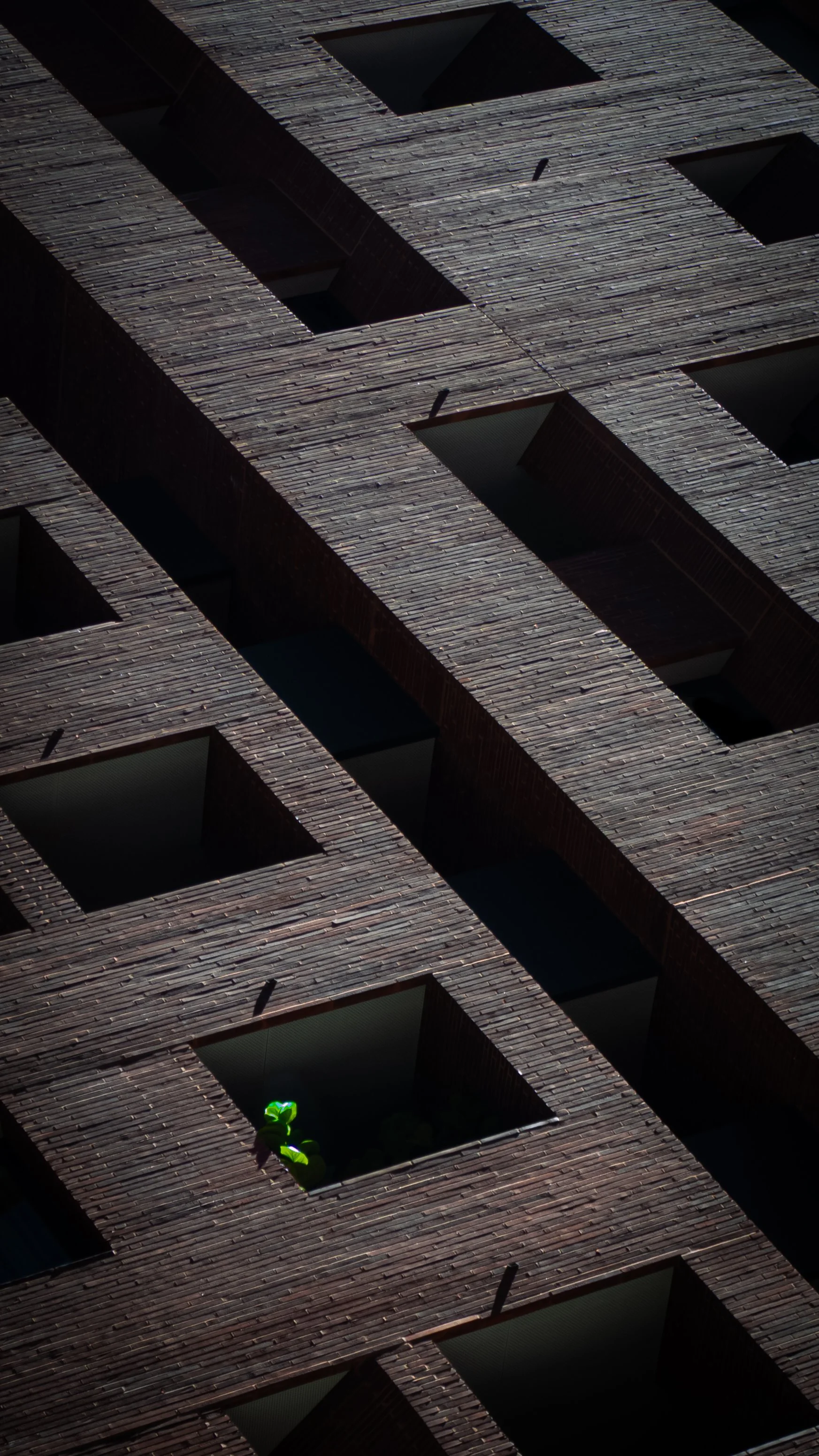 untitled-15.jpg
