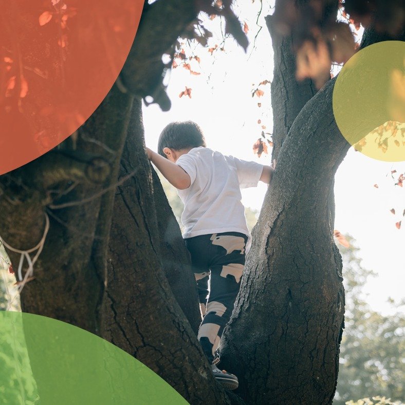 Observation- a personal reflection 
( Part I) 

Observation is a universal tool that we use all the time. 
There is a lot of conversation in Montessori environments that observation has to be objective. 
I wonder whether this is possible and what doe