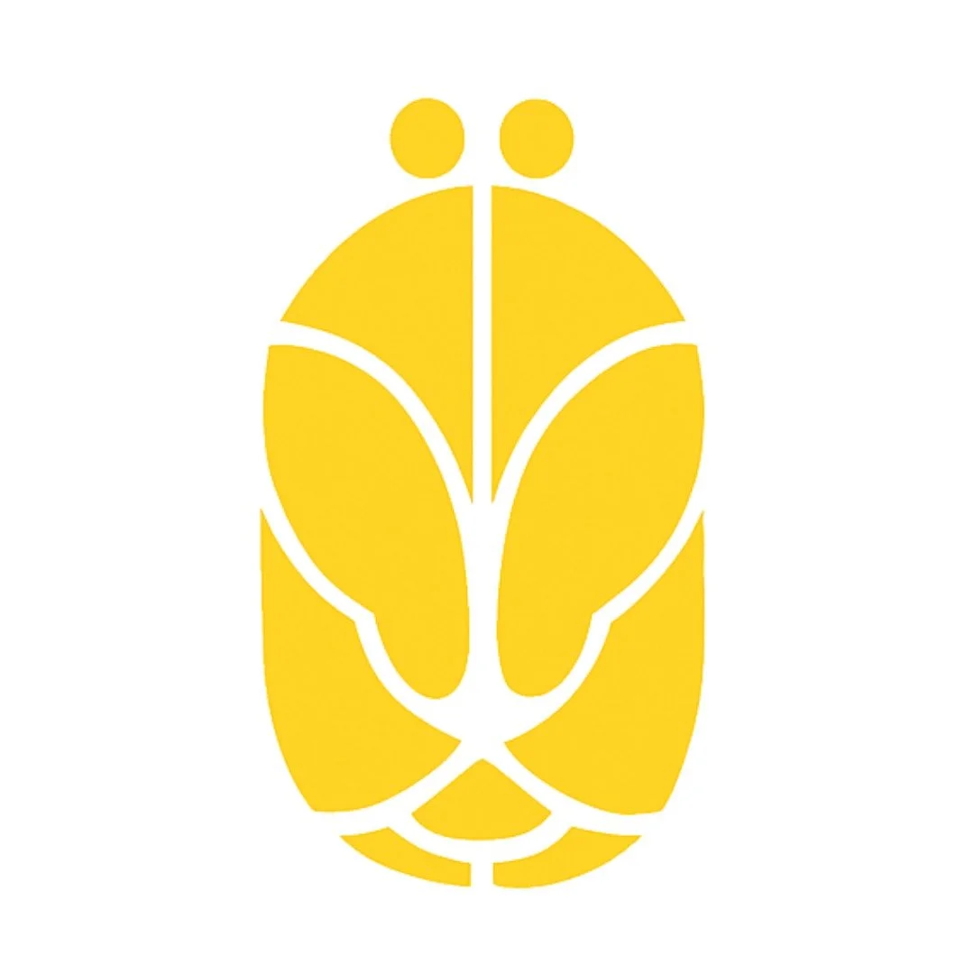 ✨ Dear Friends,

This year has been quite a whirlwind! 🌪️ Chrysalis has gone through some big and unexpected changes &mdash; maybe more than I would have liked .

After Cristina and I moved to Brighton and excitedly opened our studio, its closure wa