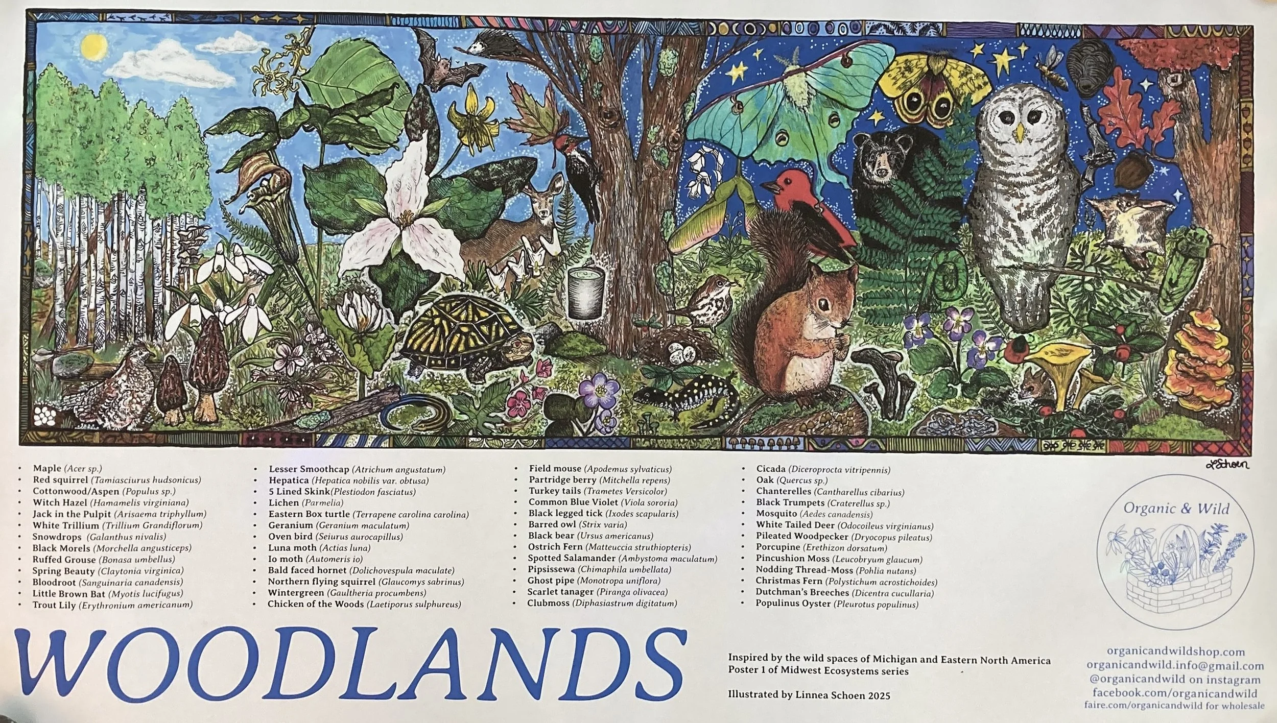 Michigan Woodlands Ecosystem Poster 