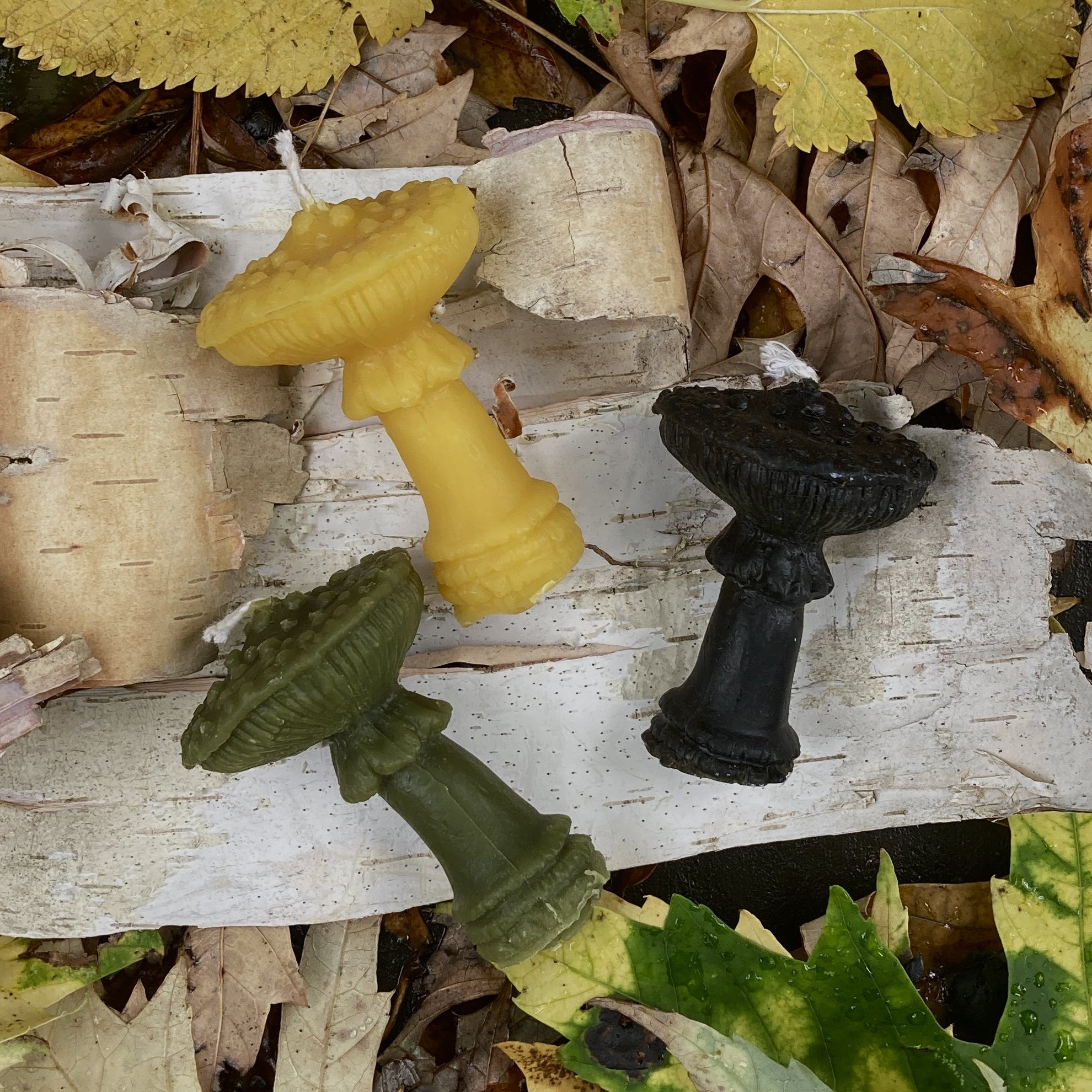 Amanita Mushroom Votive Beeswax Candles