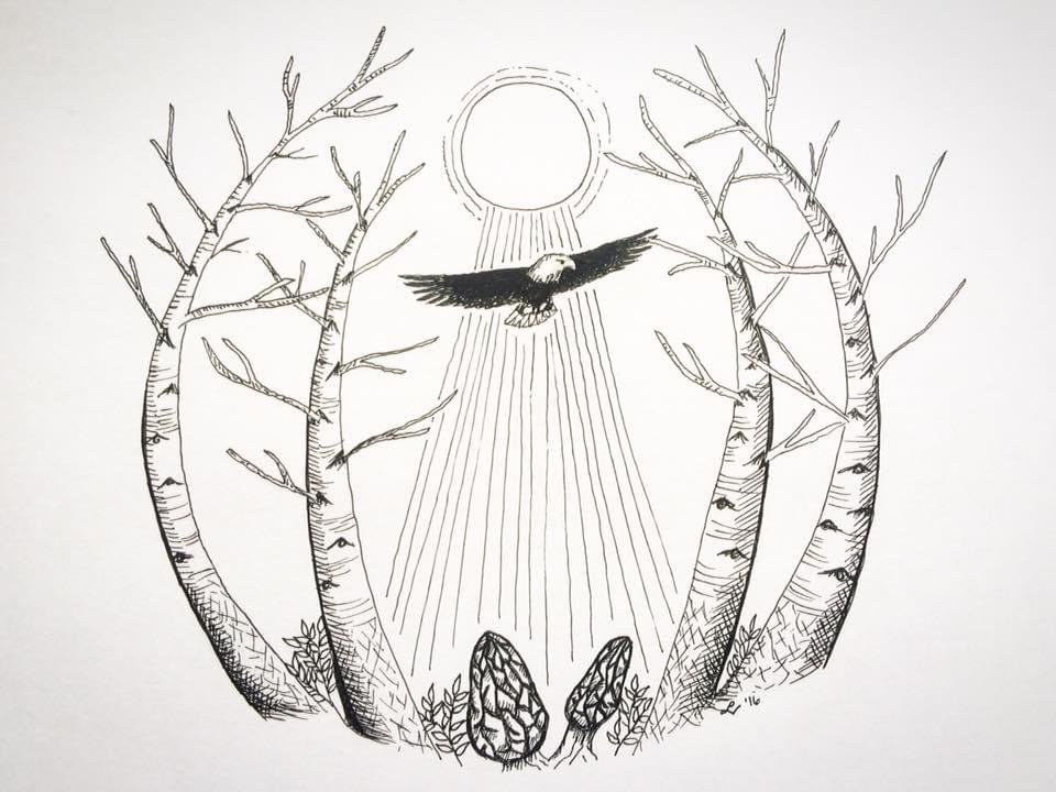 Eagle Morel Pen and Ink