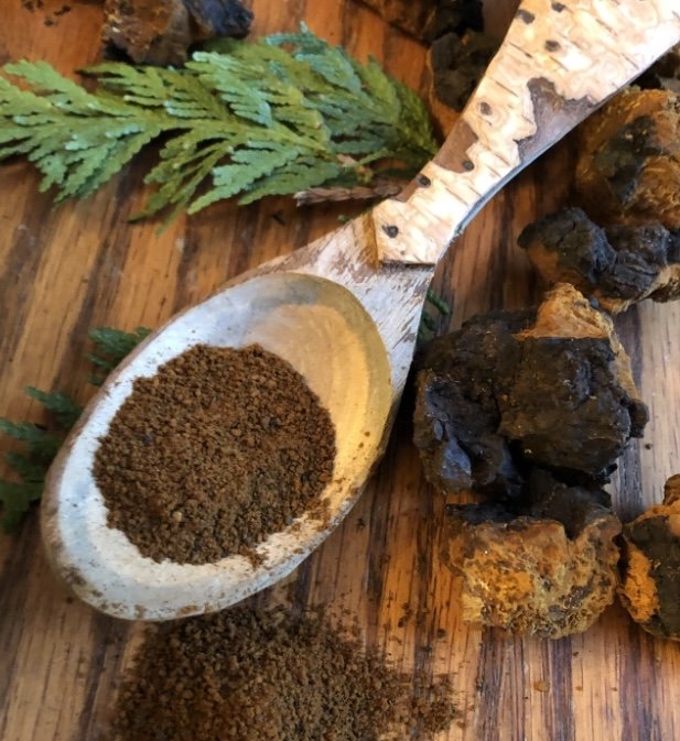 Dried black truffles, a wooden spoon with ground black truffle, and green conifer leaves on a wooden surface.