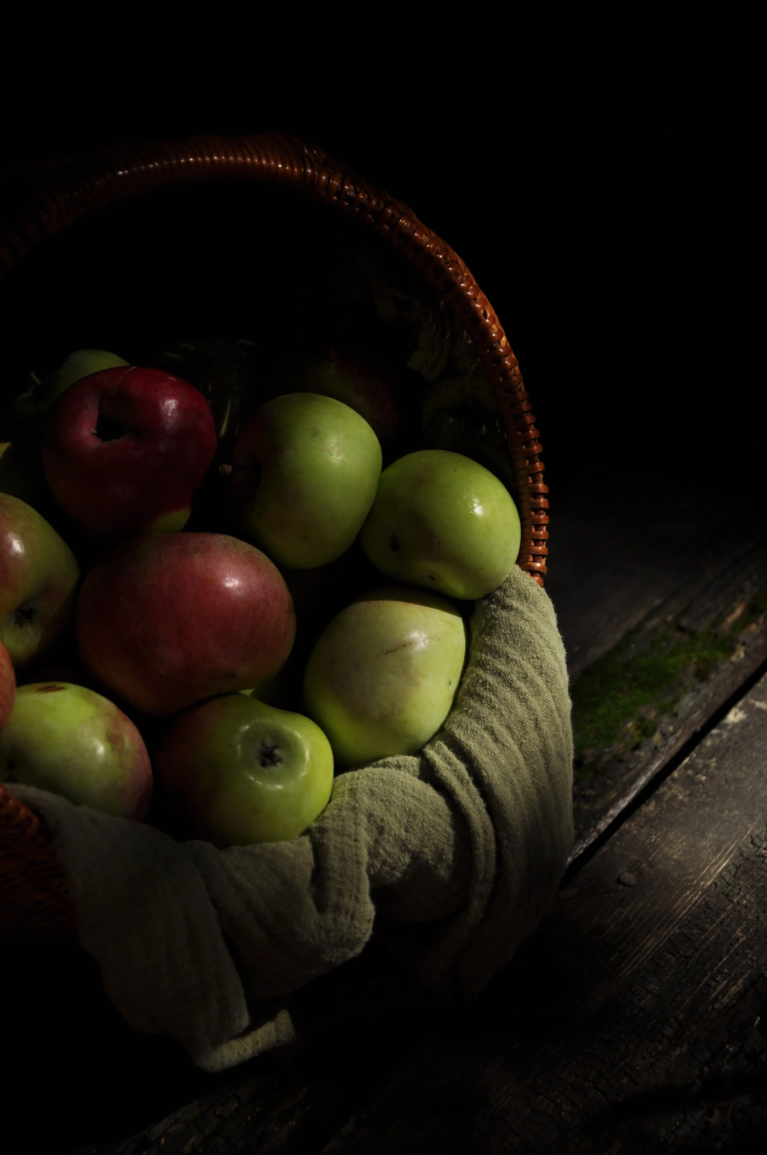Feral Michigan Apples