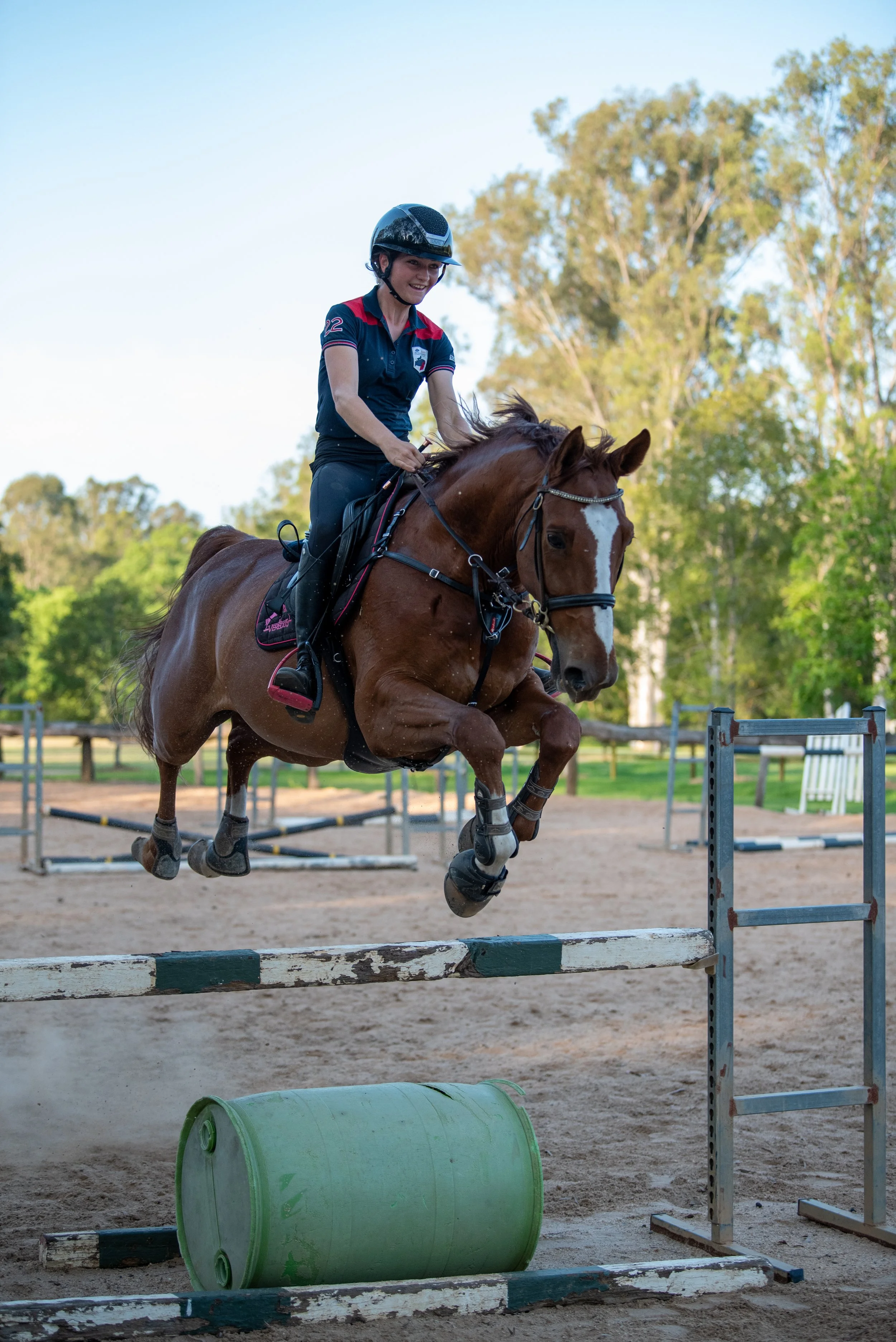 A female rider in a black helmet and navy polo shirt with red accents is jumping a brown horse over a green barrel and a show jumping obstacle in an outdoor arena, with trees in the background.