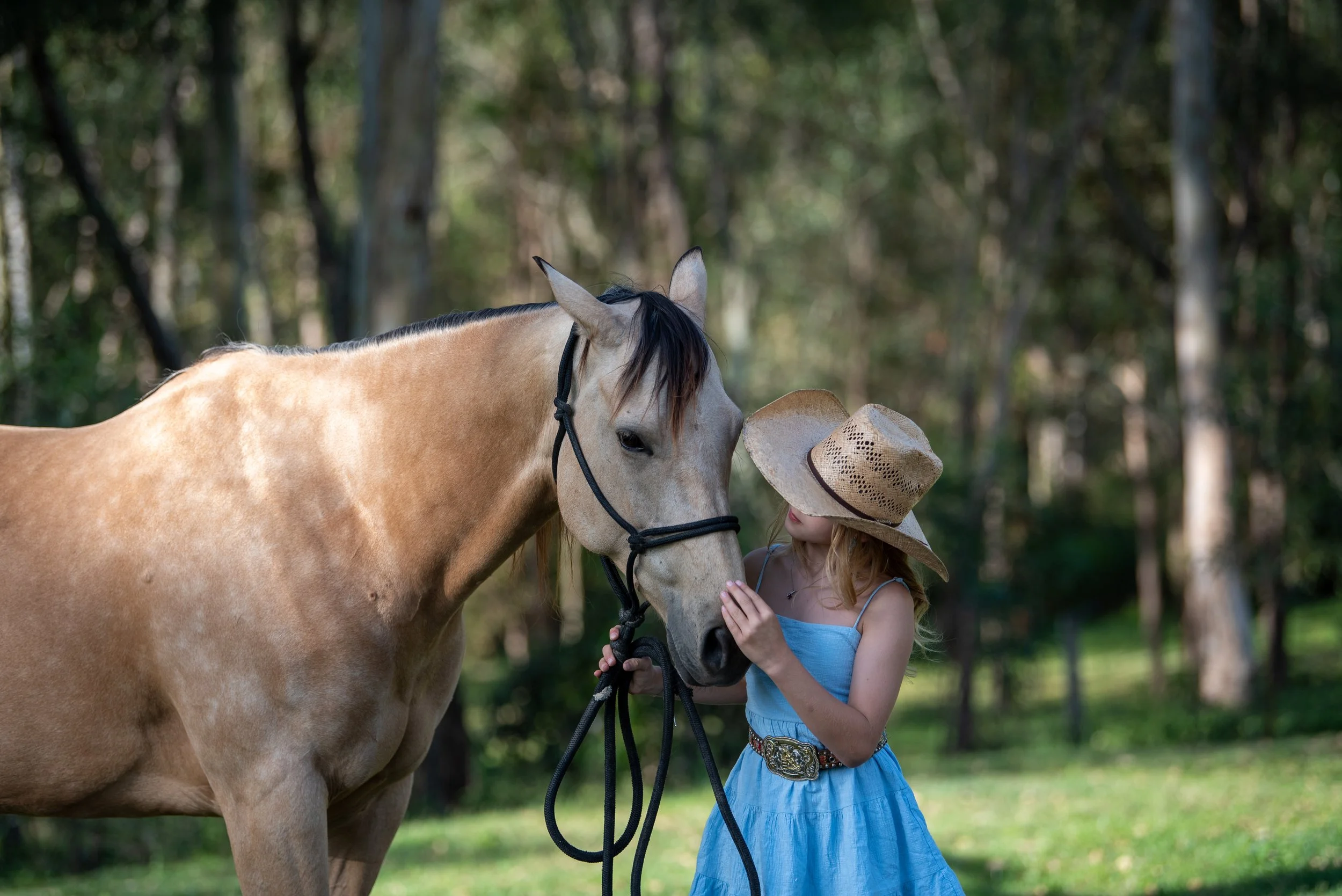 A young girl in a blue dress and wide-brimmed straw hat touching and gently holding a beige horse with a dark mane in a green, wooded outdoor setting.