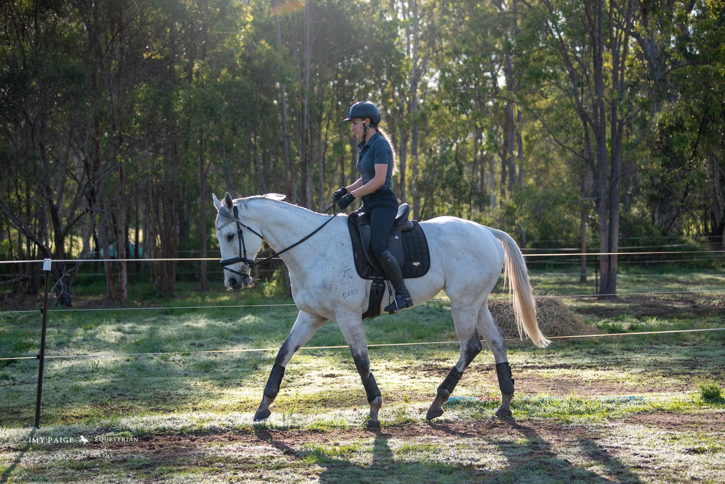 A woman riding a white horse on a grassy field surrounded by trees.
