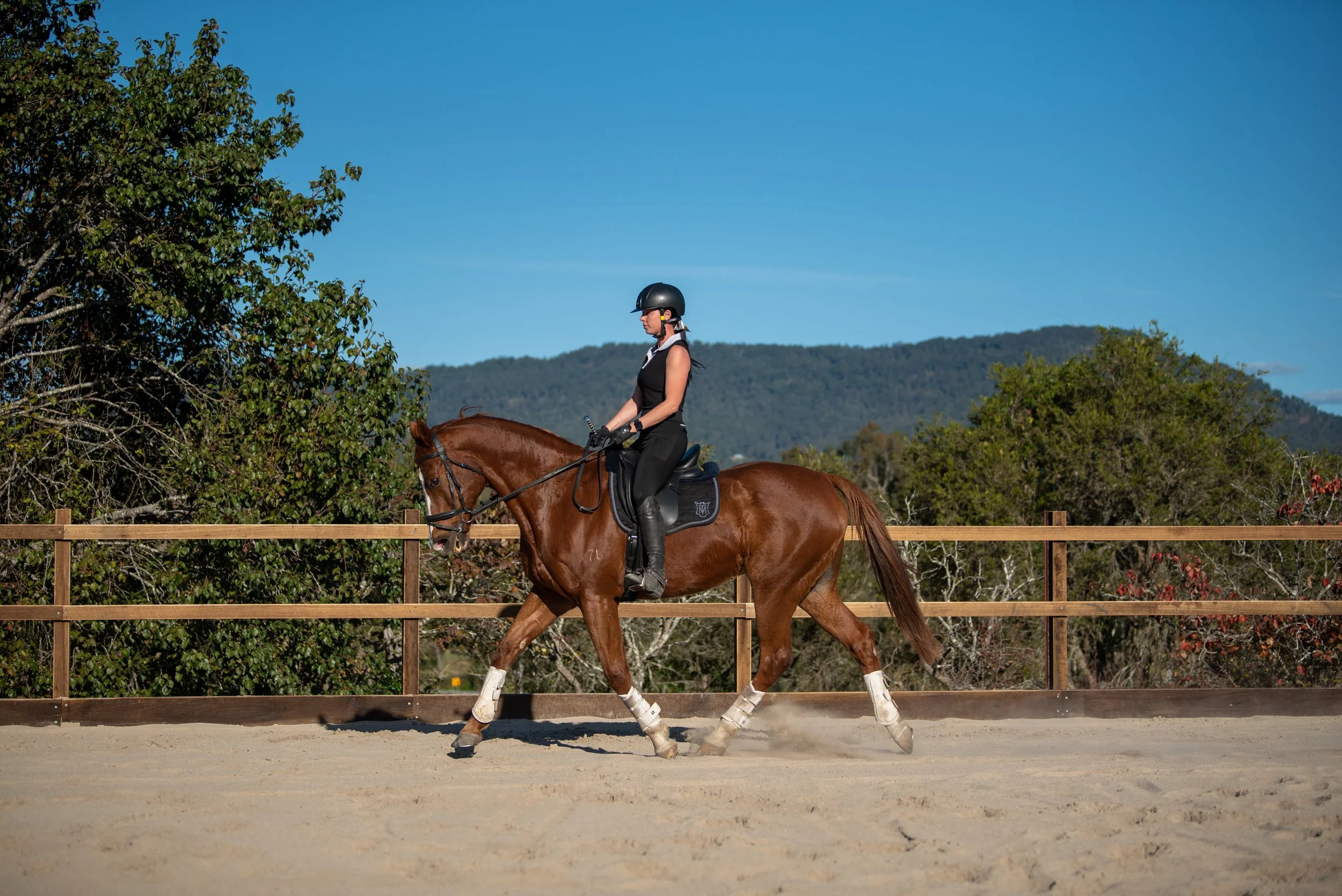 A woman riding a brown horse in an outdoor riding arena with a wooden fence, trees, and mountains in the background, under a clear blue sky.
