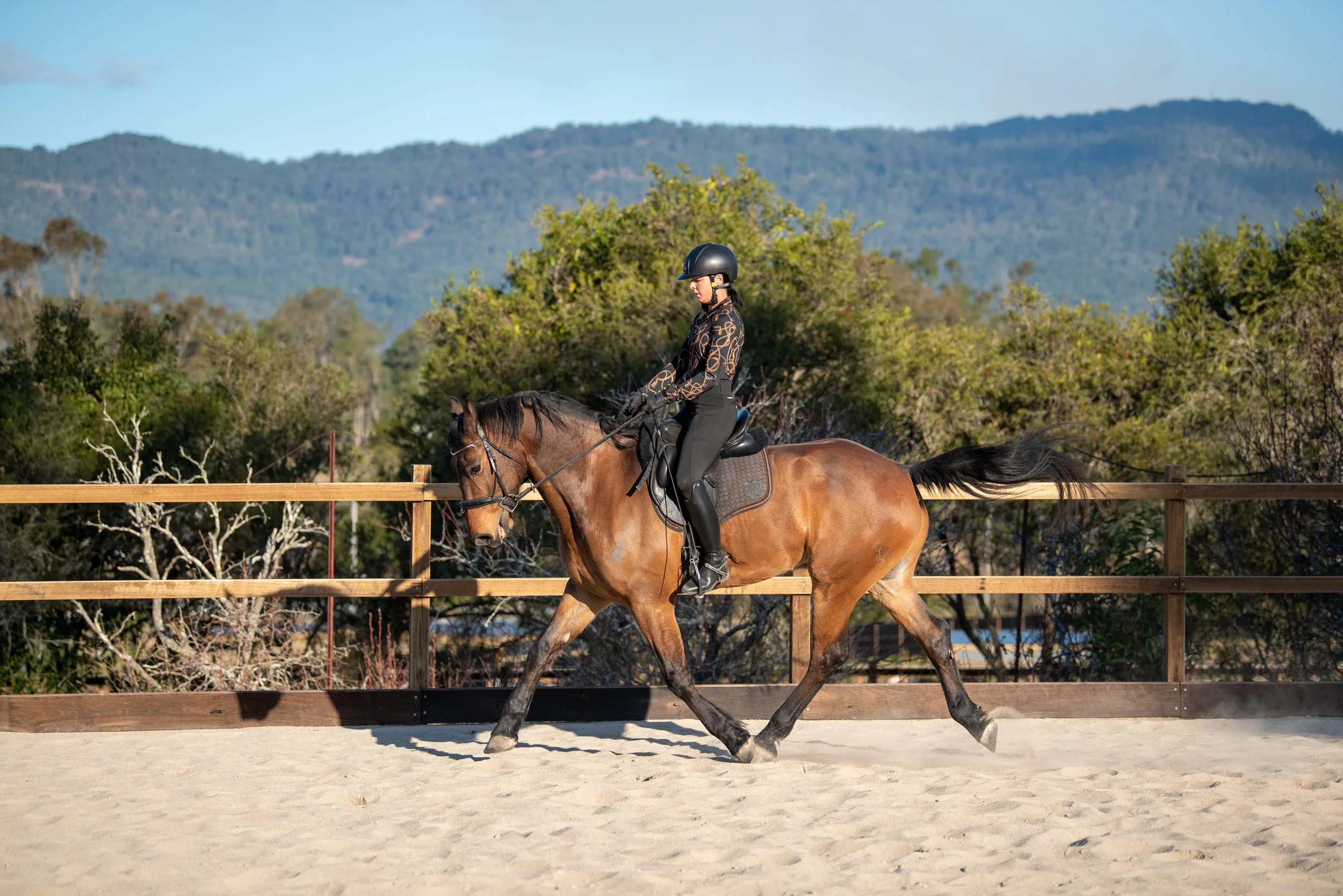 A woman riding a brown horse in an outdoor riding arena with a wooden fence, green trees, and mountains in the background.
