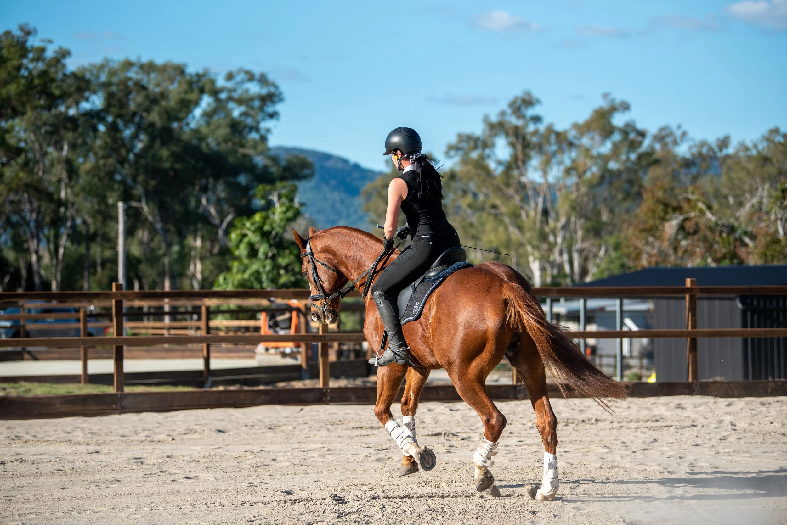 A person riding a horse in an outdoor riding arena with wooden fencing and trees in the background.