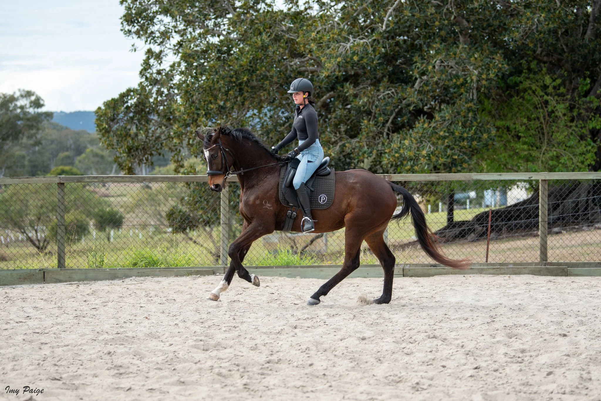 A woman riding a brown horse with a black saddle in an outdoor riding arena, surrounded by a wooden fence and trees in the background.
