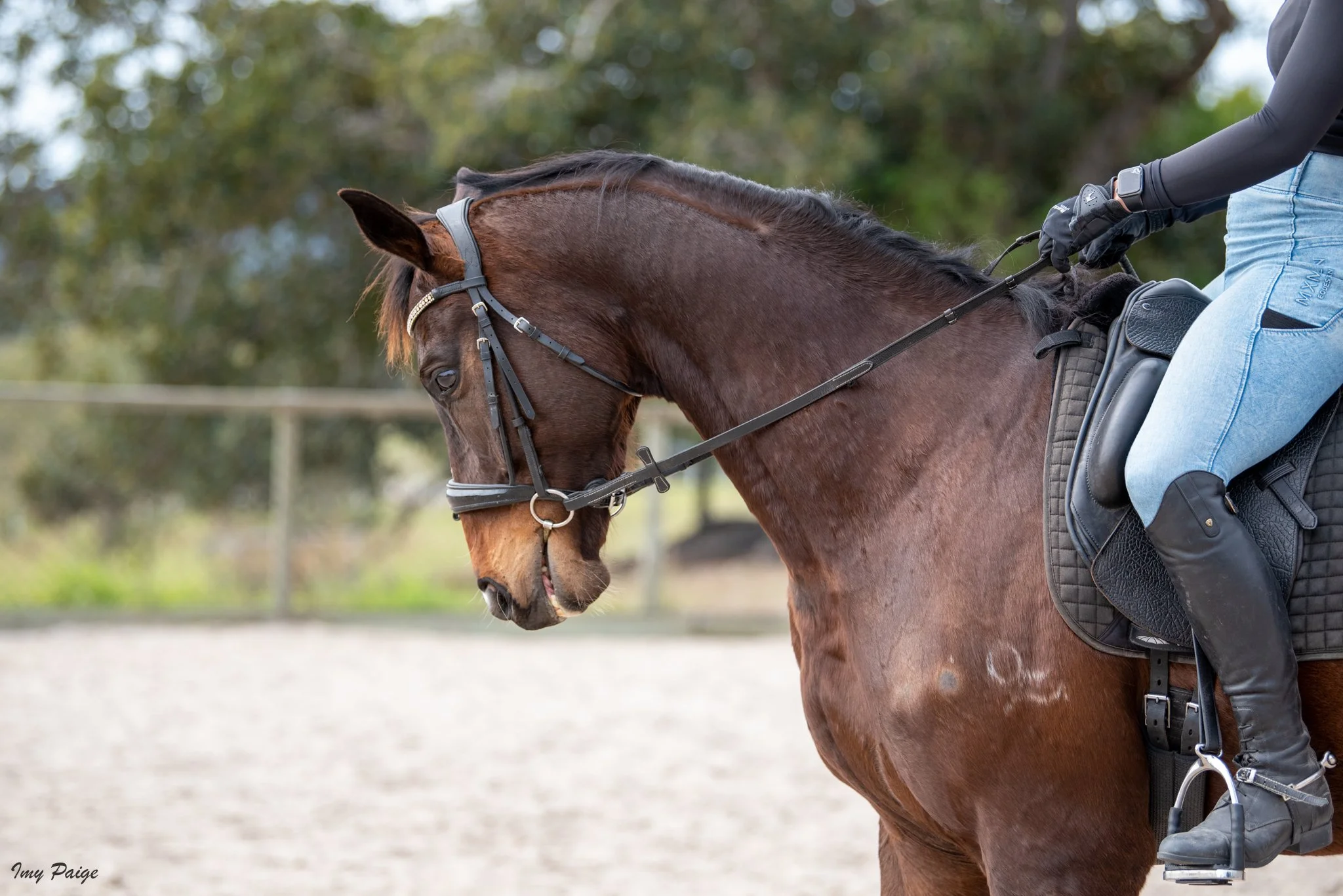 A person riding a brown horse outdoors in an enclosed riding area, with trees in the background.