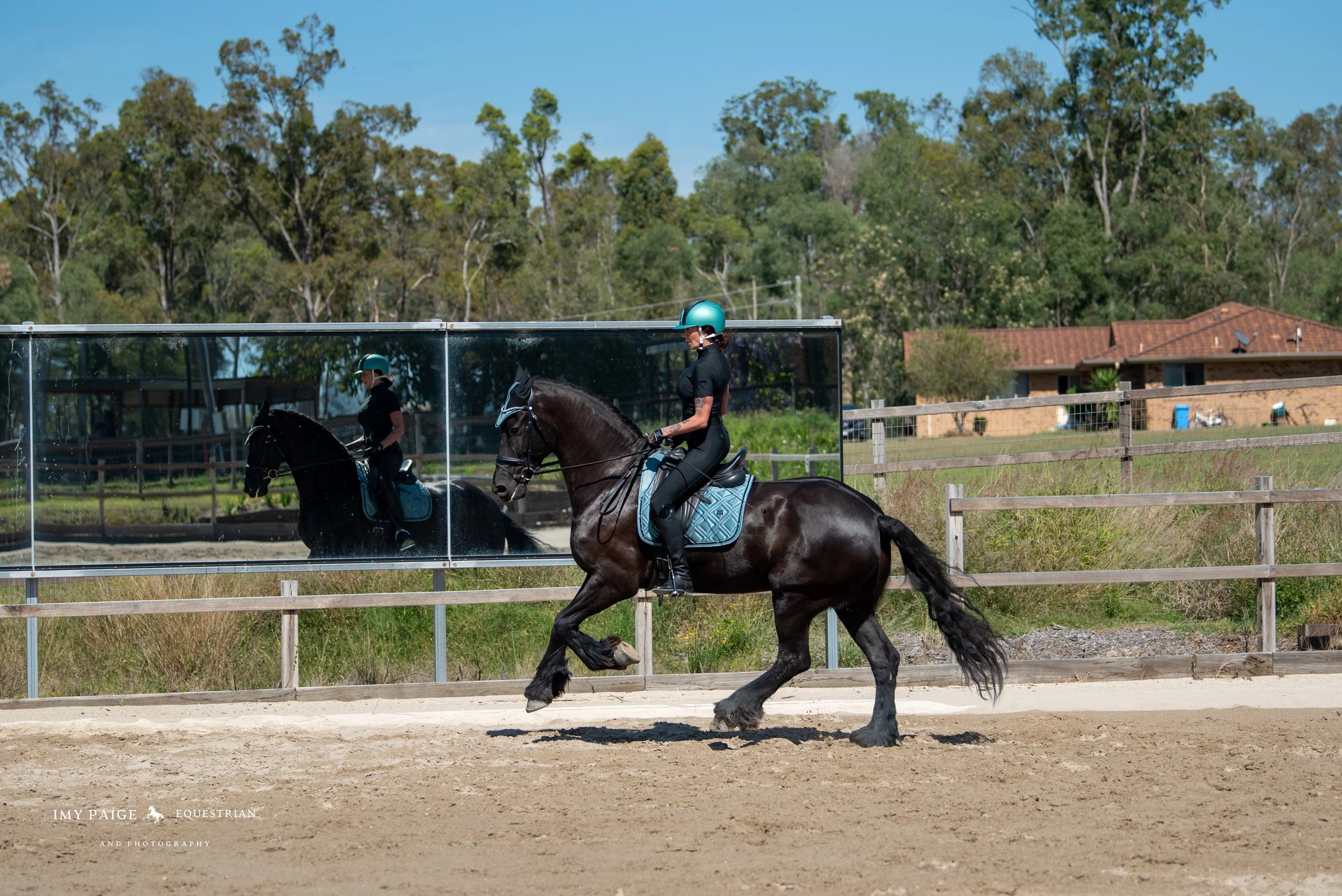 A woman riding a black horse in an outdoor riding arena with a wooden fence, surrounded by trees and houses in the background, during daytime.