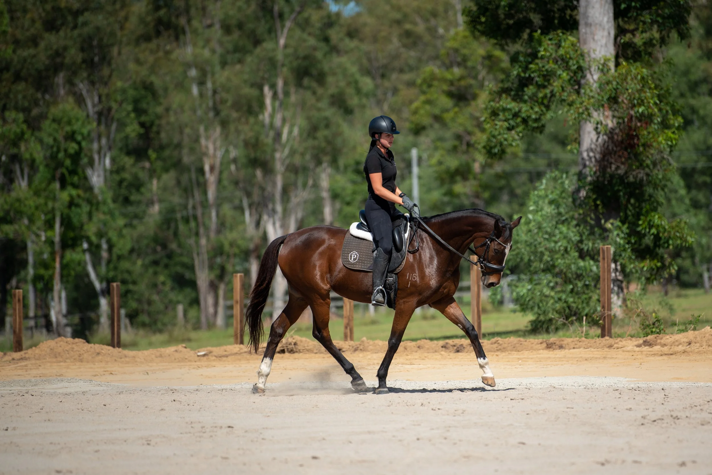 A person riding a brown horse on a sandy arena with green trees in the background.