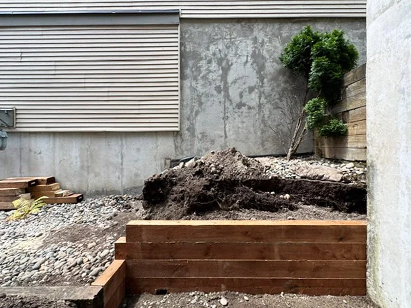 A backyard garden area with a small green tree, a pile of dirt, and a wooden raised garden bed under construction next to a concrete wall and a wooden fence.