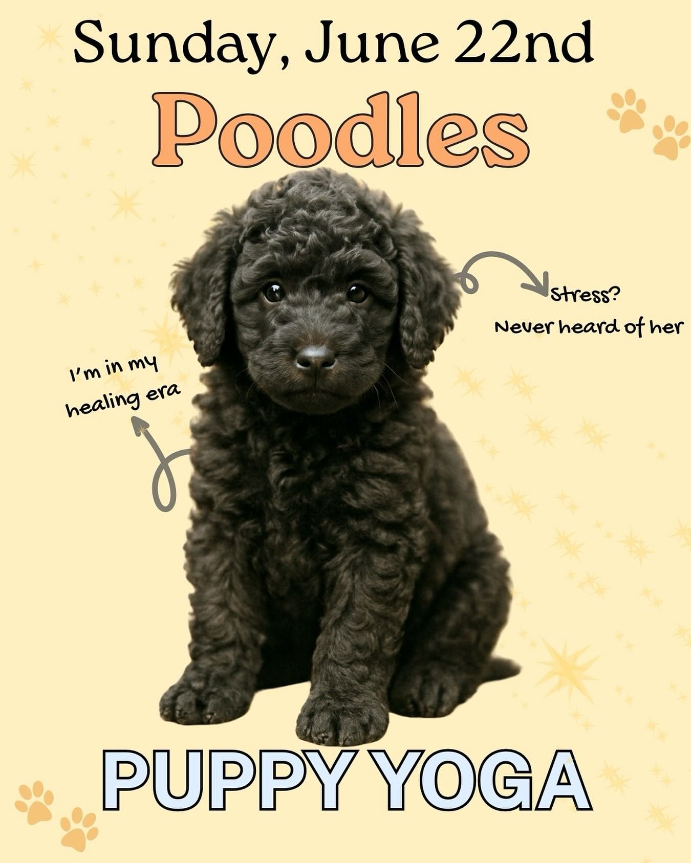 NEXT BREED: POODLES🐾
Come join our Yoga with Puppies class 

🗓️Sunday June 22nd 
⏰11-12PM

📍637 11 Ave SW ( The Academy Gym)

🔗Link in bio
.
.
.
.
.
.
.
.
.
#puppyyoga #poodlepuppy #puppyyoga🐶 #puppyyogayyc