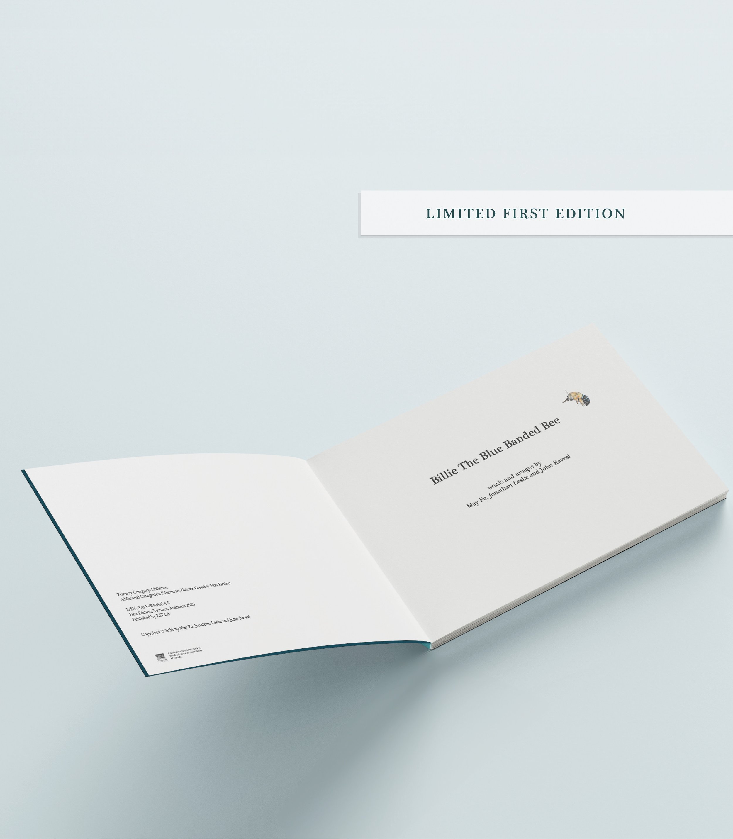 Soft 2 Ltd Ed.jpg