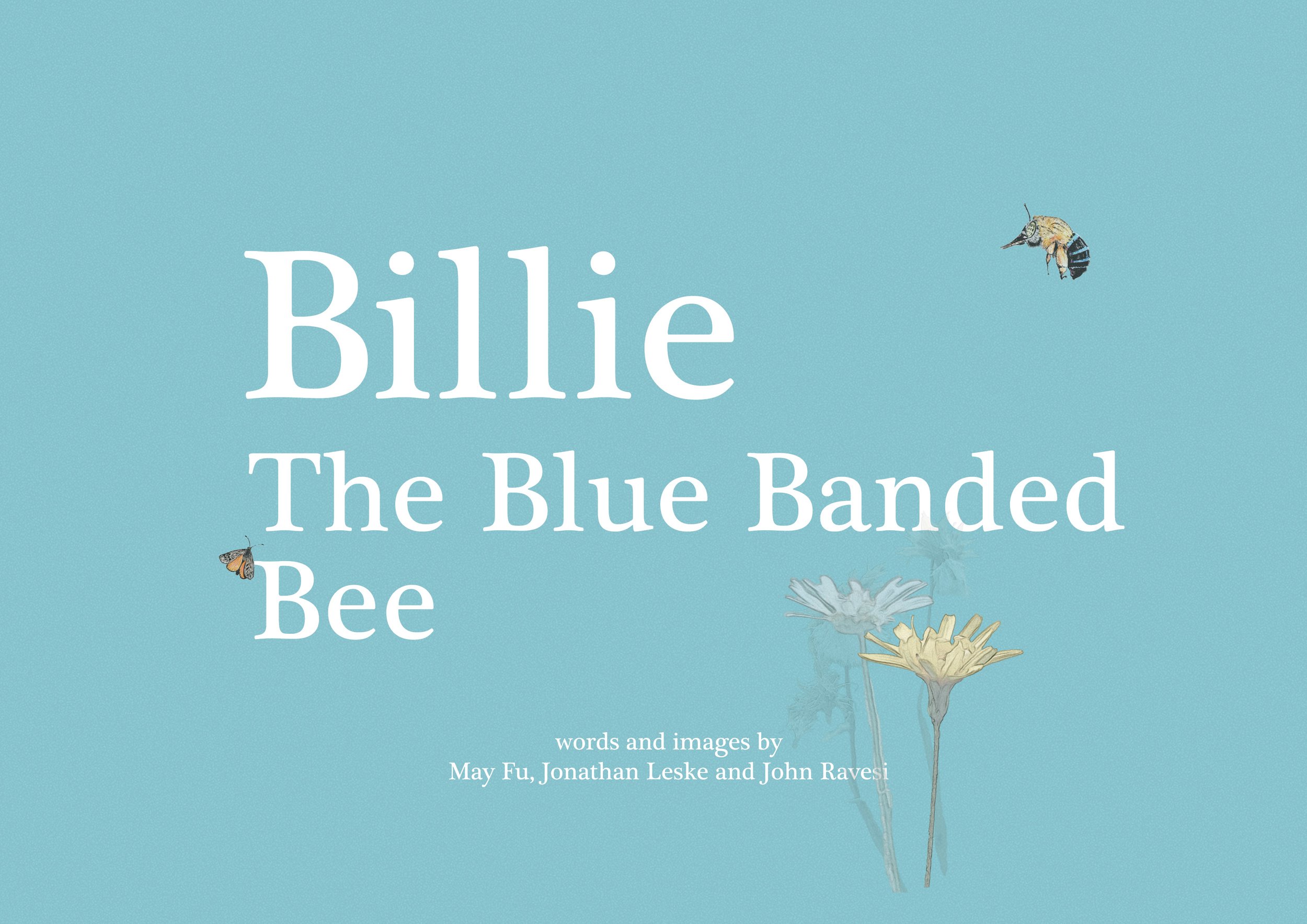 Softcover Front A4 20250427.jpg