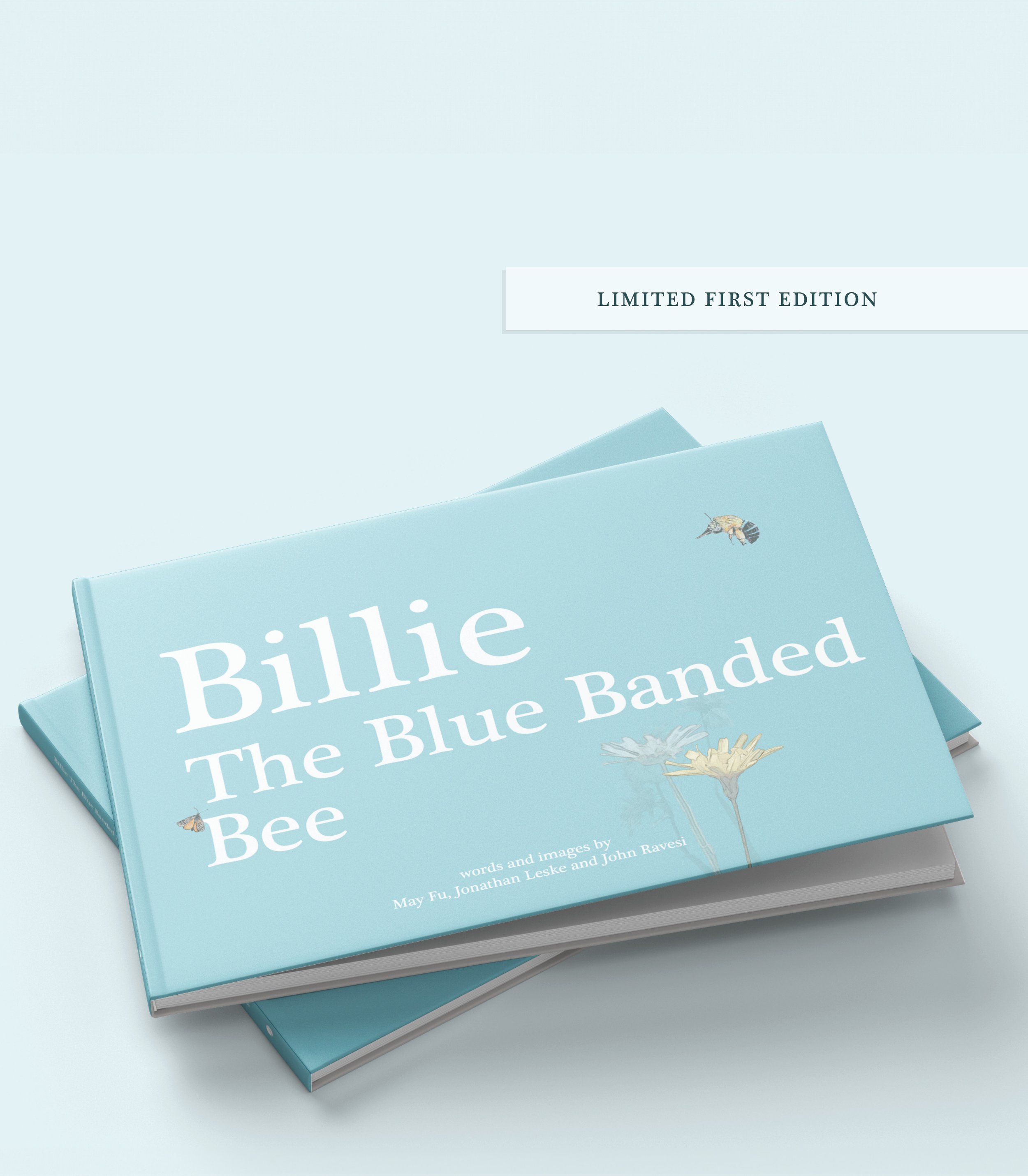 Hardcover 1 Ltd Ed.jpg
