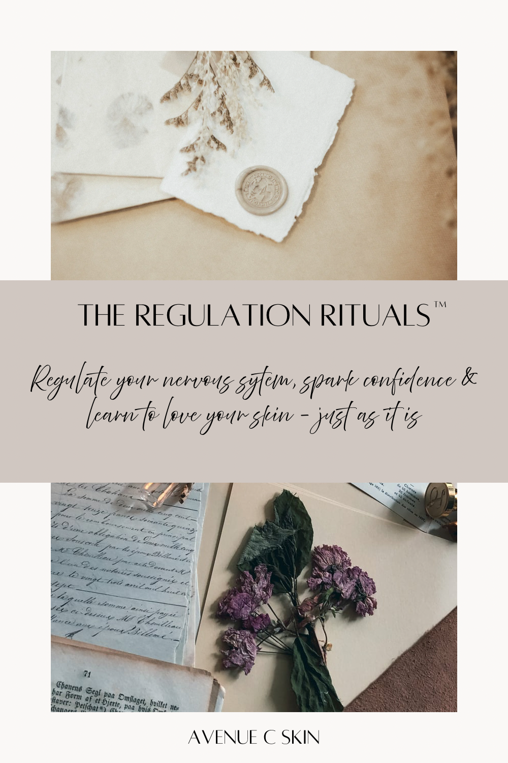 Regulation Rituals Companion - 1.png