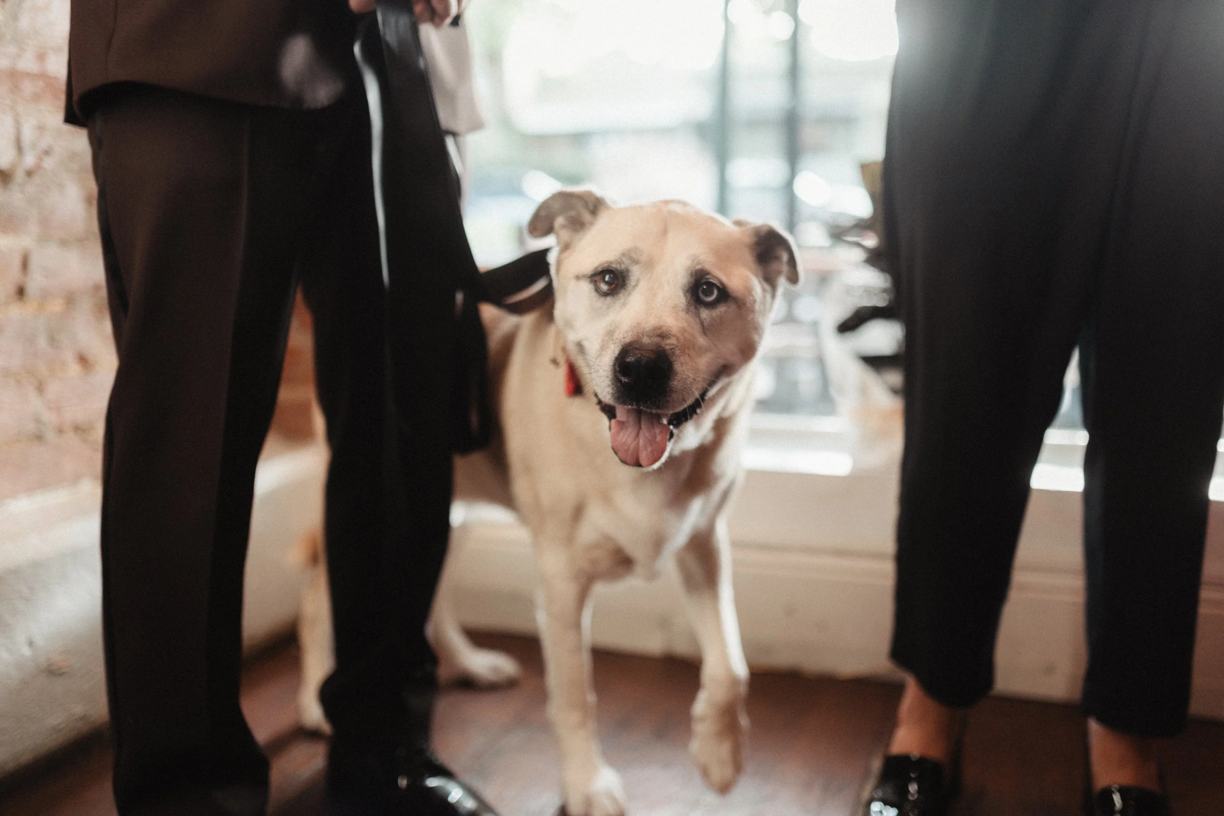 20260314 Lukas & Tash www.alexandergroom.co027.jpg