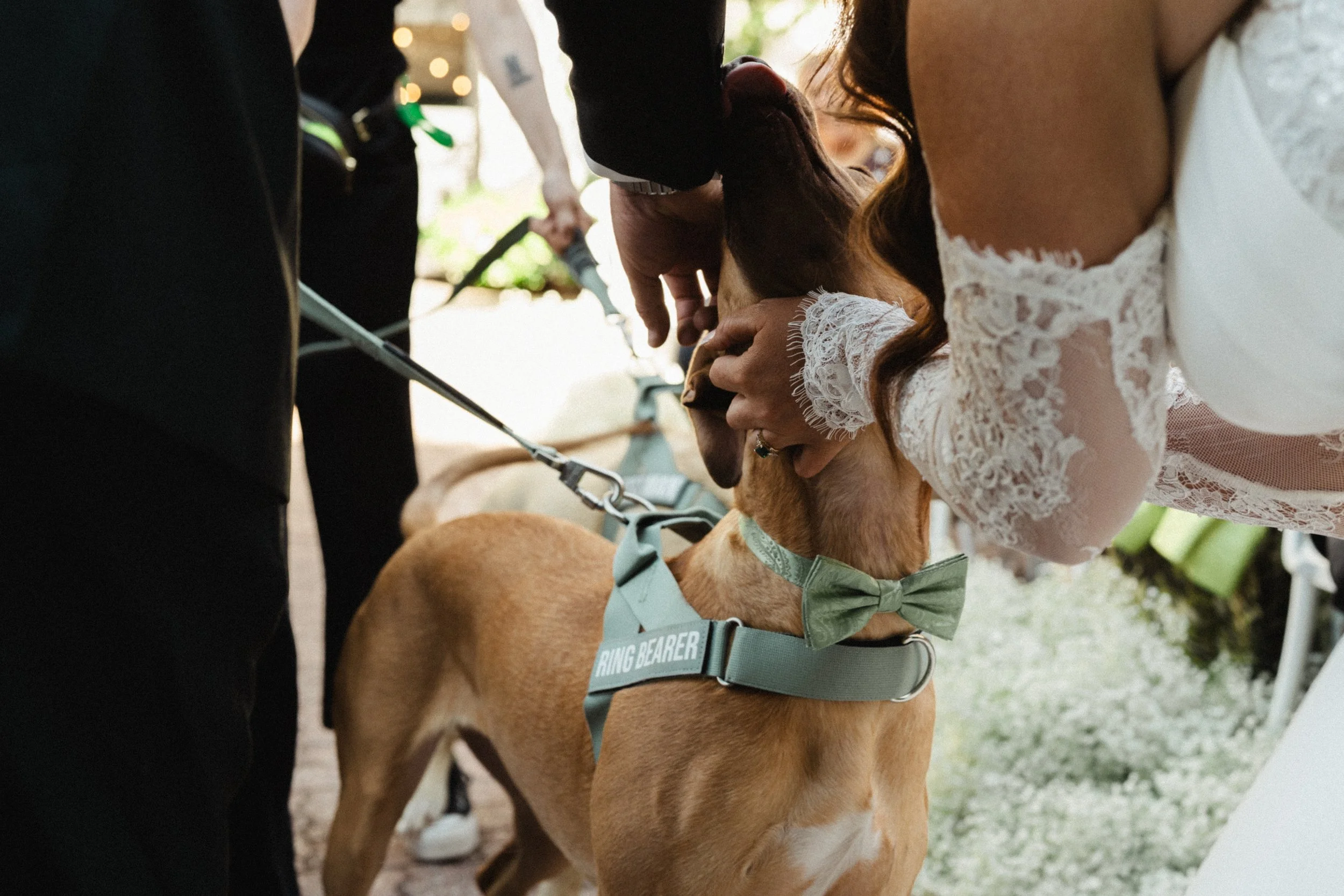 20251220 Toby & Rhi - AlexanderGroom.co0051 .jpg