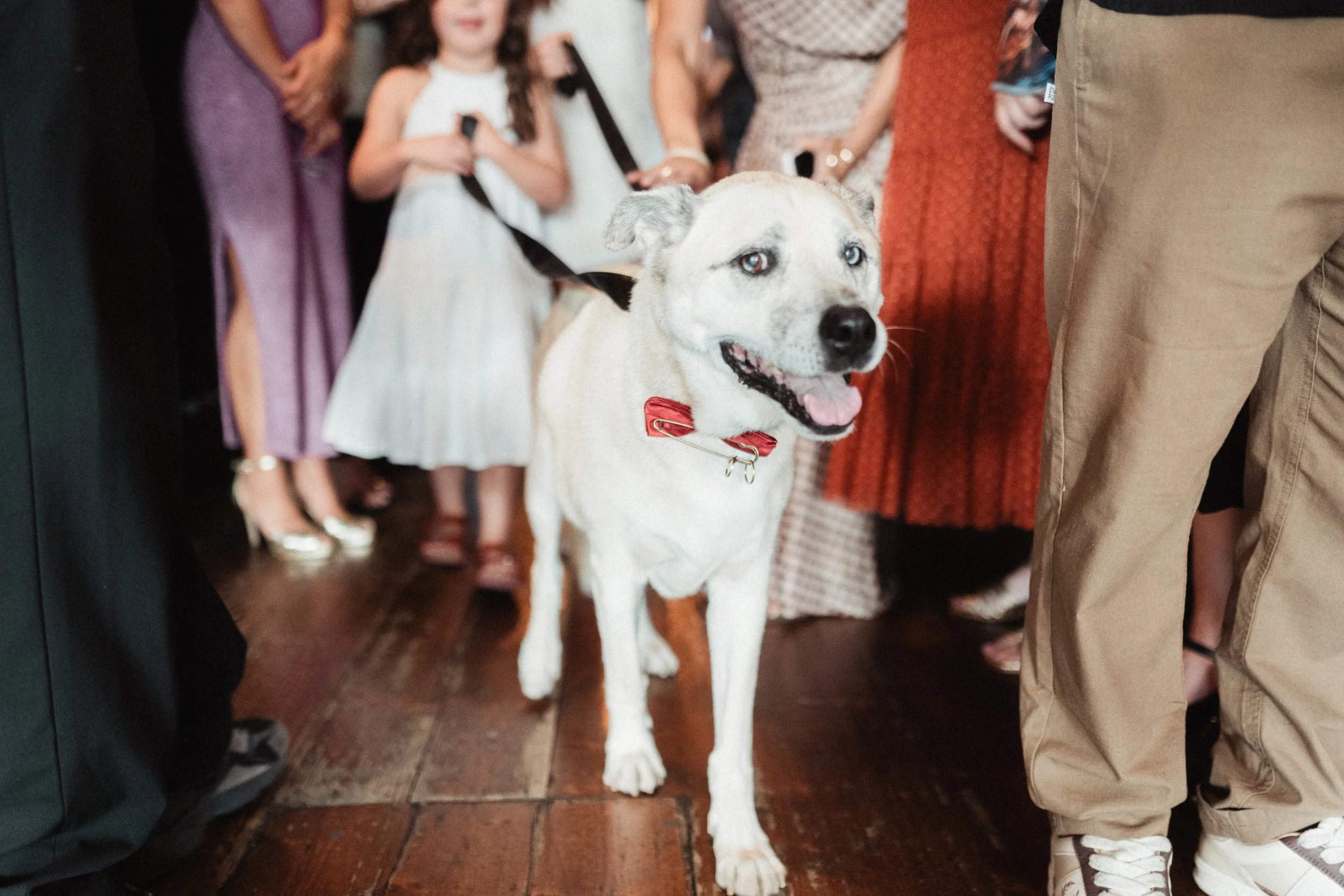 20260314 Lukas & Tash www.alexandergroom.co023.jpg