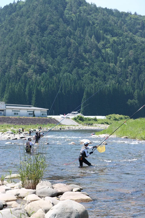 2025年 久々野・鮎釣りシーズン開幕！ — Explore Kuguno Japan – ひだ