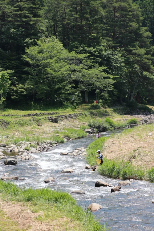 2025年 久々野・鮎釣りシーズン開幕！ — Explore Kuguno Japan – ひだ