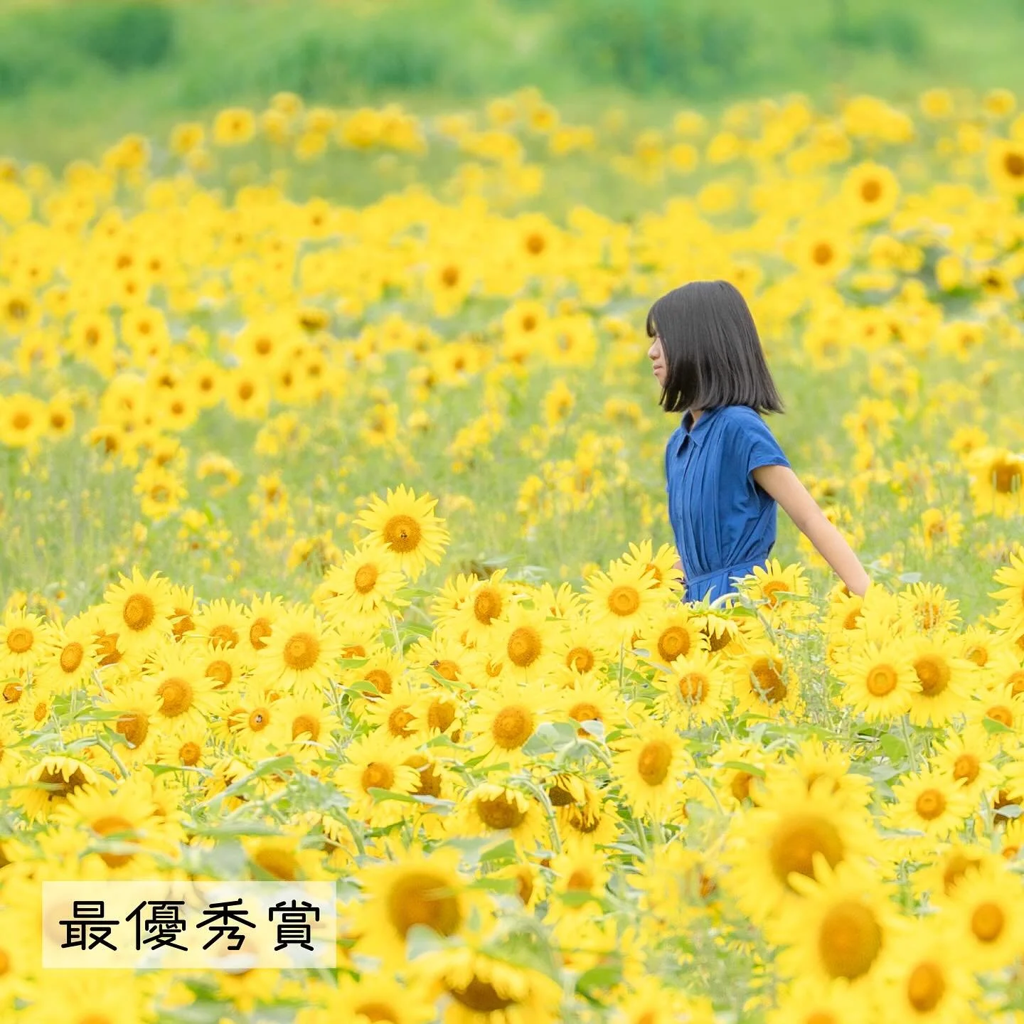 アルコピアひまわり園PHOTO CONTEST 
2025年の優秀作品発表！

今年もアルコピアひまわり園へ足を運んでくださった皆さま、そしてフォトコンテストにご参加いただいた皆さま、本当にありがとうございました。

先週、久々野支所で審査が行われ、今年の受賞作品が決定しました。秋を迎えた久々野から、この夏の思い出を振り返りながら受賞写真をご覧ください！

受賞者の皆さまには10月初旬に賞品をお届けする予定です。来年の夏、ひまわり園でまた皆さまとお会いできるのを心より楽しみにしています。

優秀