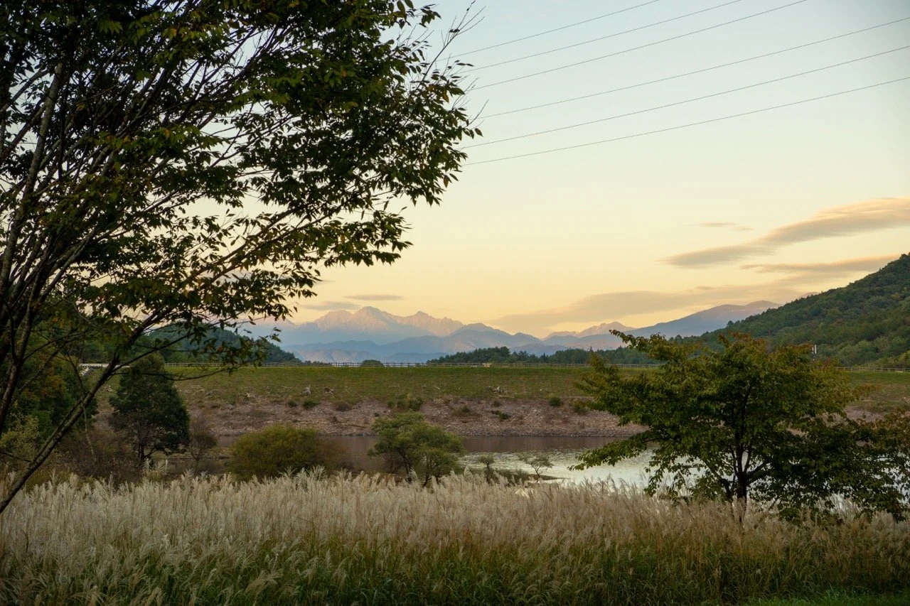 秋のすすき越しに望む、夕暮れの北アルプス