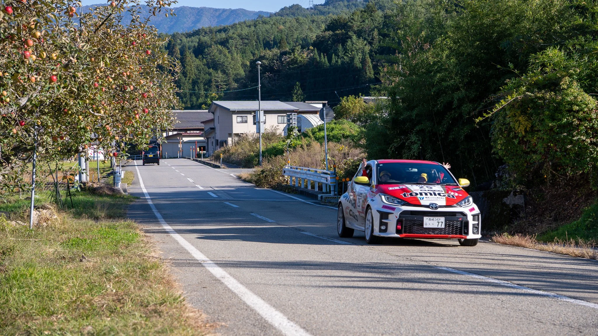 DSC04604-2.jpg