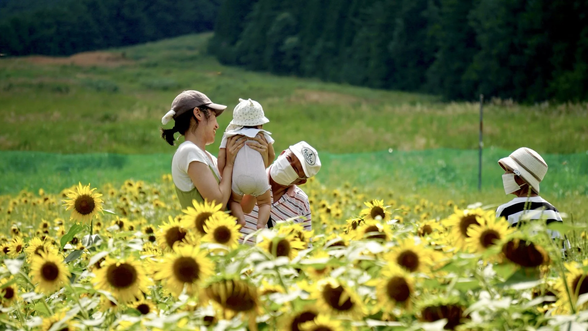 「ひまわり畑の平和な世界」