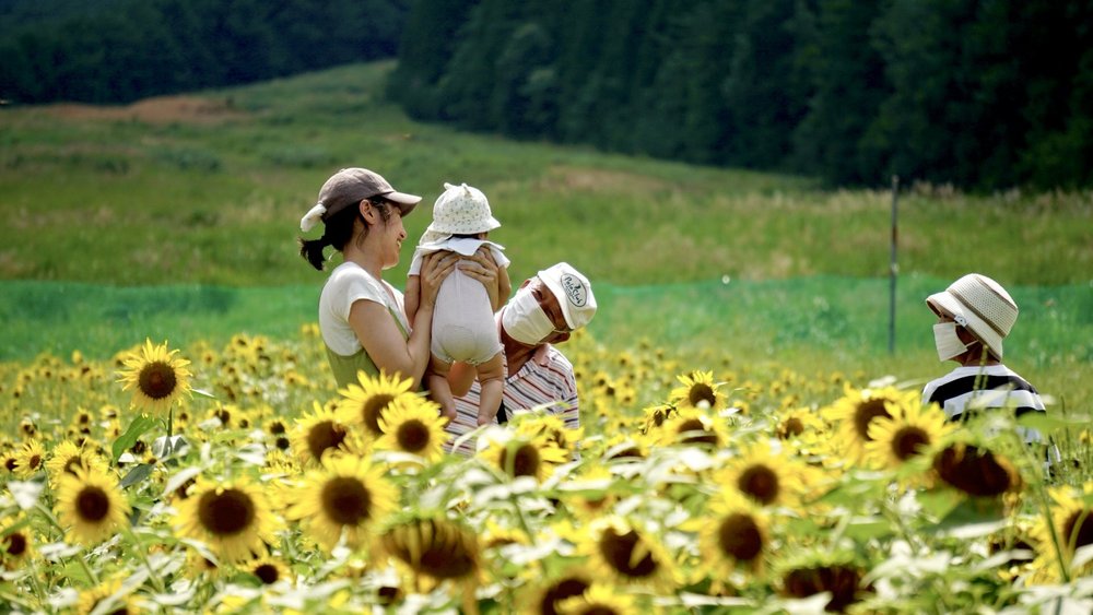 ひまわり園PhotoContest | Join the Photo Contest — Explore Kuguno