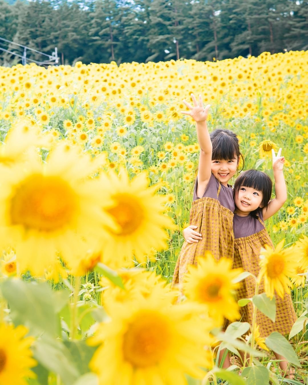 Two young girls smiling and waving in a field of blooming yellow sunflowers, with a background of further sunflowers and trees.