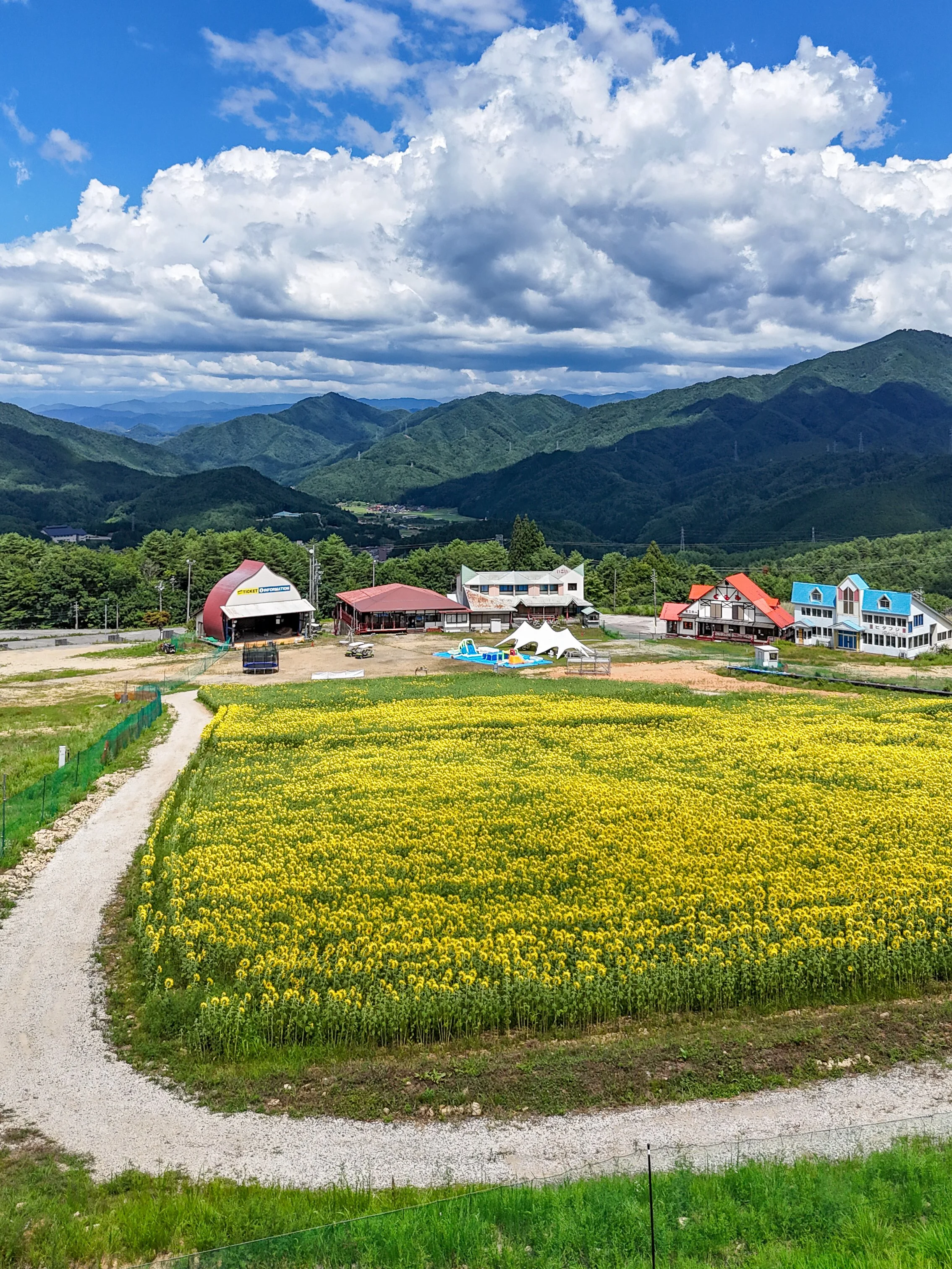 DJI_20260807130003_0013_D.jpg