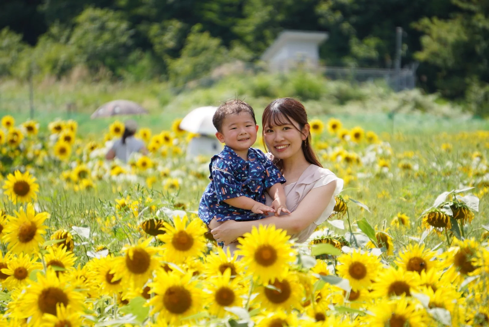 ひまわり園PhotoContest | Join the Photo Contest — Explore Kuguno