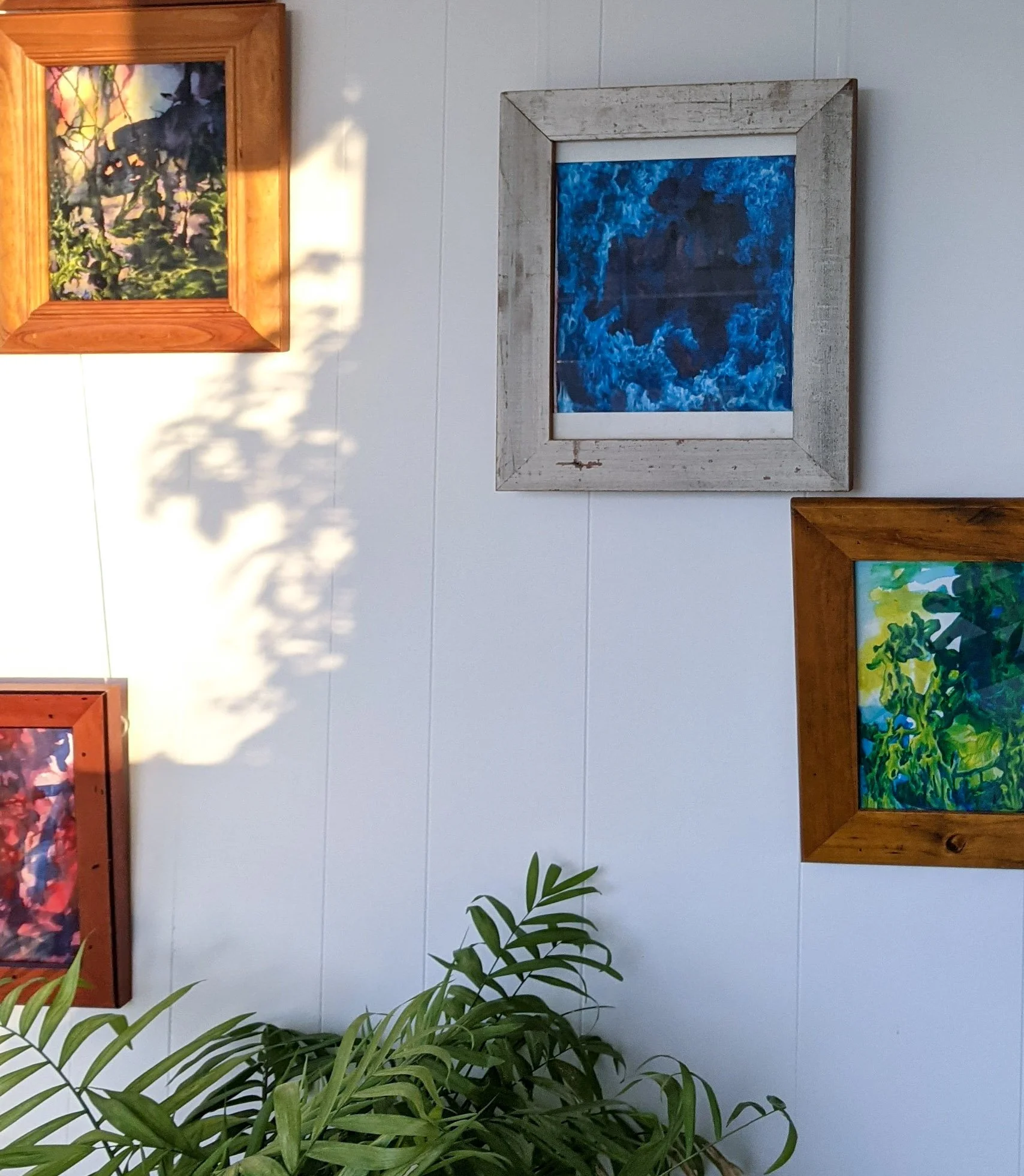 Wall with four framed colorful abstract paintings and a green plant in the foreground.