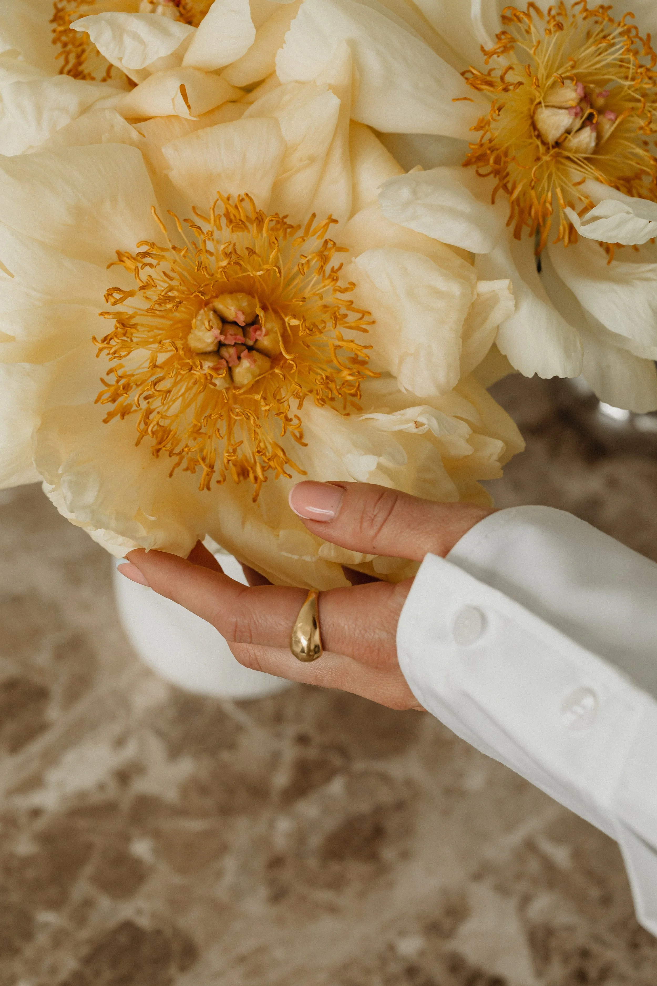 Woman's hand with pretty gold jewelry touching a beautiful orange flower