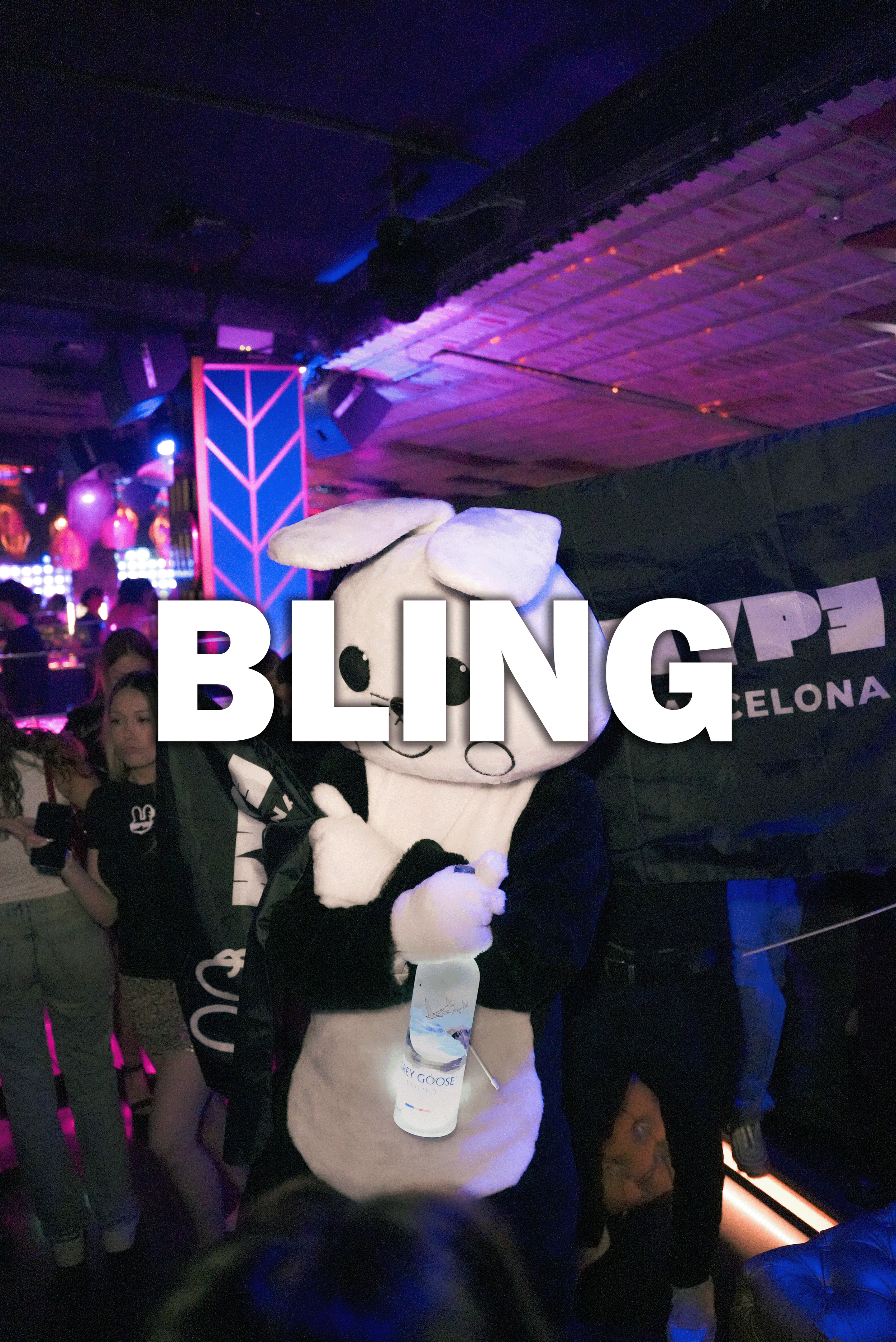 Bling Bling Barcelona nightclub party with international crowd and guestlist nightlife experience