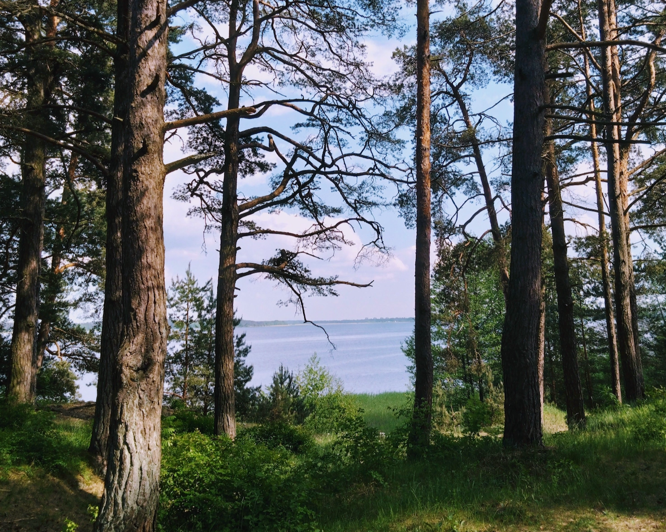 The Health Benefits of Spending Time in Nature