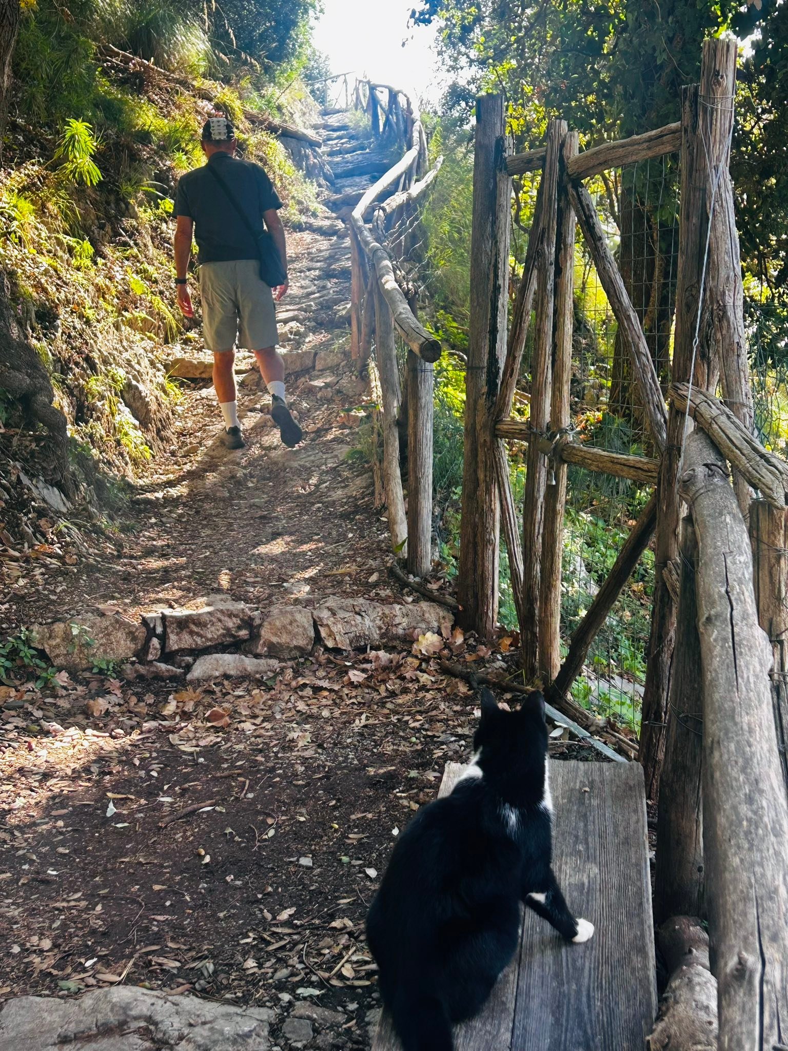 Today was a big walk along the Path of the Gods - Stentiero degli Dei - 14km return from a village of Nocelle to Bomerano . The views were fantastic with the sum shining on the Mediterranean Sea off of the Amalfi coast. The walk, hilly at times, wasn