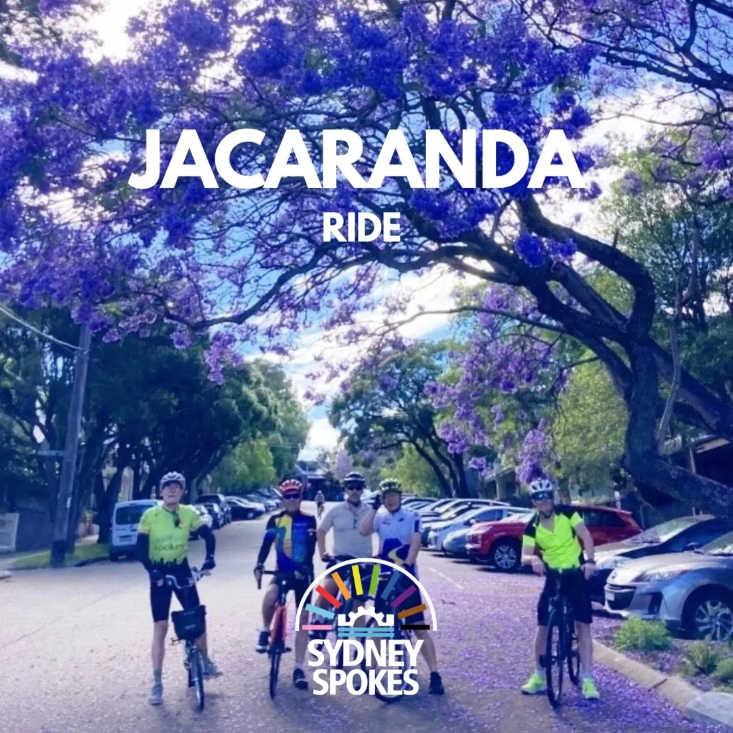 Even though the Jacarandas flowered early this year, there were plenty to see on our ride today. 💜💜💜