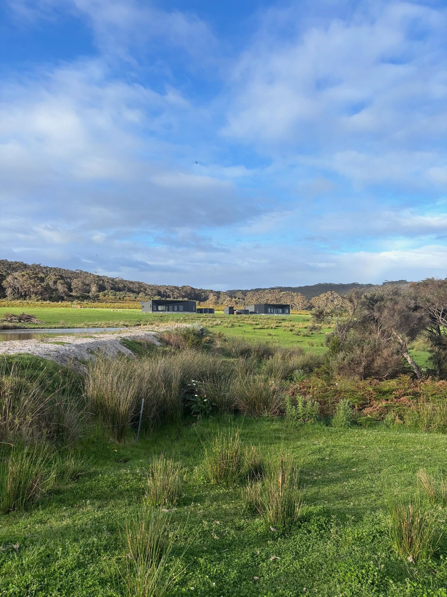 Building regionally comes with its fair share of challenges - materials can be harder to source, trades are limited, and it takes extra care to manage details from afar.

For our Habitat at Lights Beach project, we had to get creative. Simple decisio