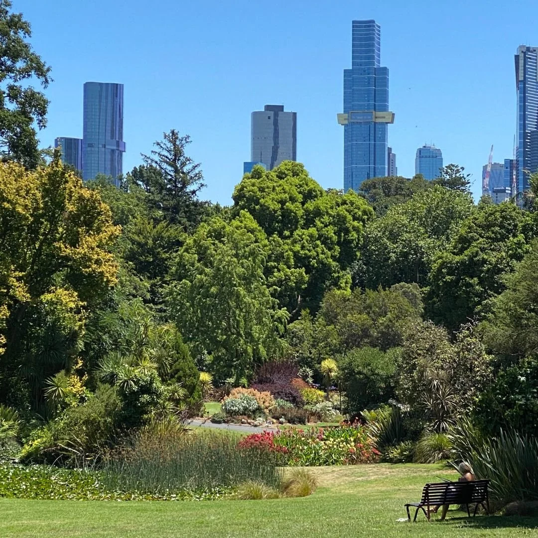 A lush green park with trees and a variety of plants, featuring city skyscrapers in the background under a clear blue sky. A person is sitting on a bench in the foreground.