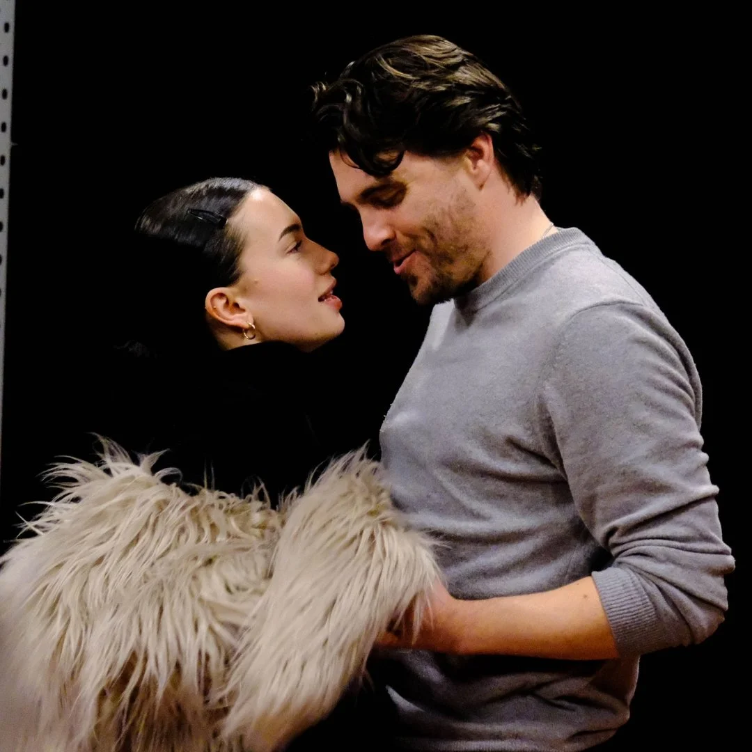 Copy of HOW TO SHAKESPEARE.jpg