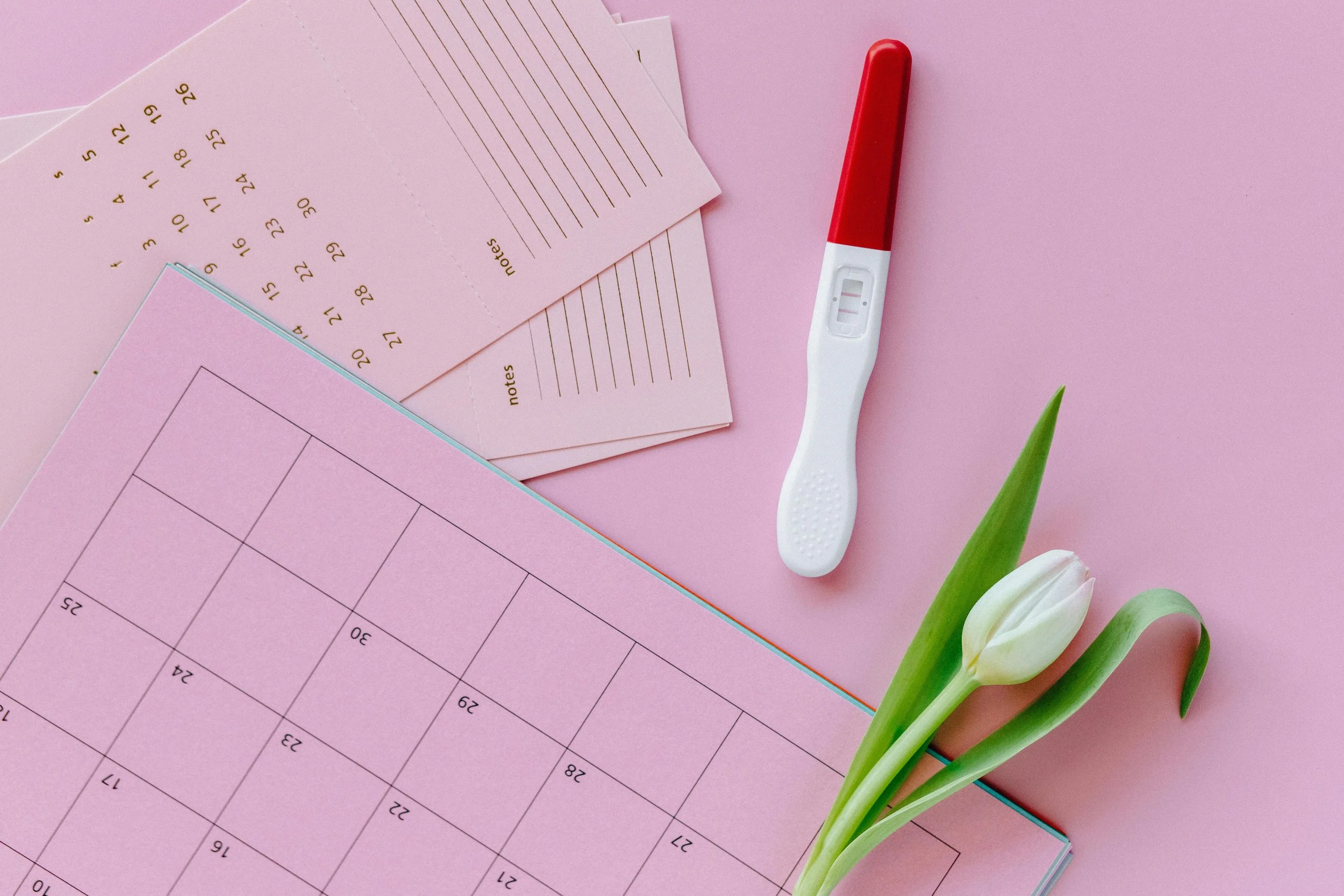 A pink desk with a pregnancy test, a calendar, a pink notepad, and a white tulip flower.