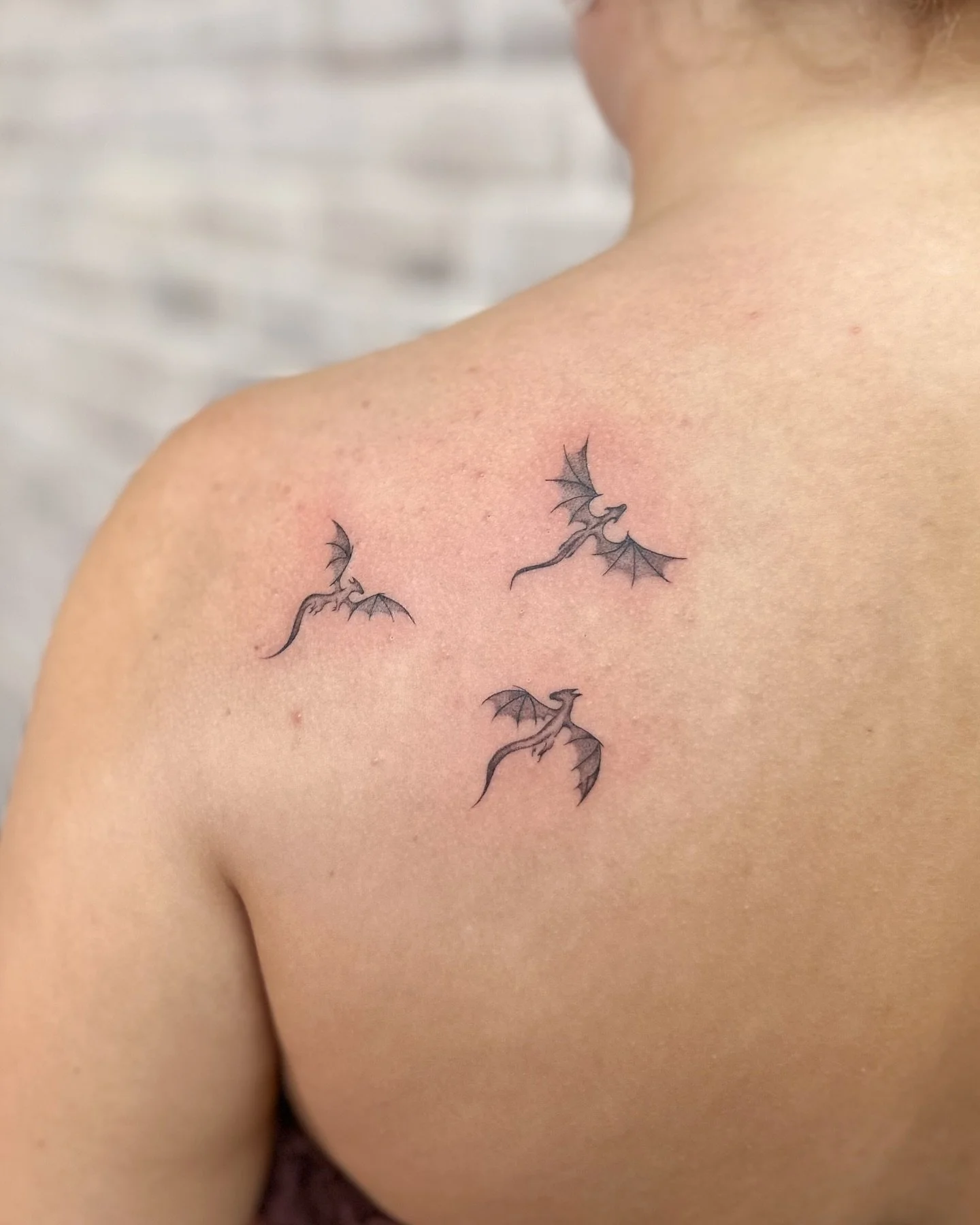 dragons, dragons &amp; dragons 🐉 have been lovin all the back tatts recently!! 🫶🏻 &amp; adore the shading requests! 🤤
⭐️ Want to book in your next tattoo? 

Click the link in my bio to submit a booking enquiry or go to mo0nyink.com 💌

✧.*

#tatt
