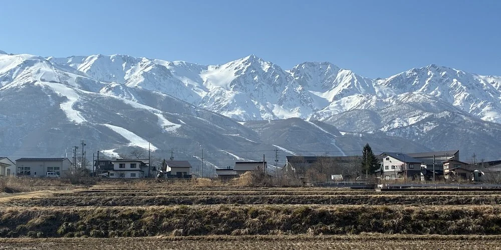 Snow-covered mountains behind a row of houses and fields in a rural area during daytime.