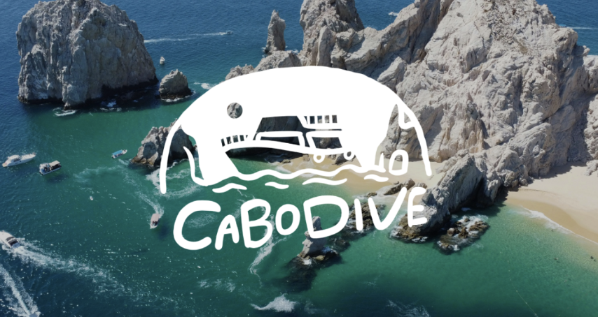 You can book with us and find buddies on the Buddy app. 